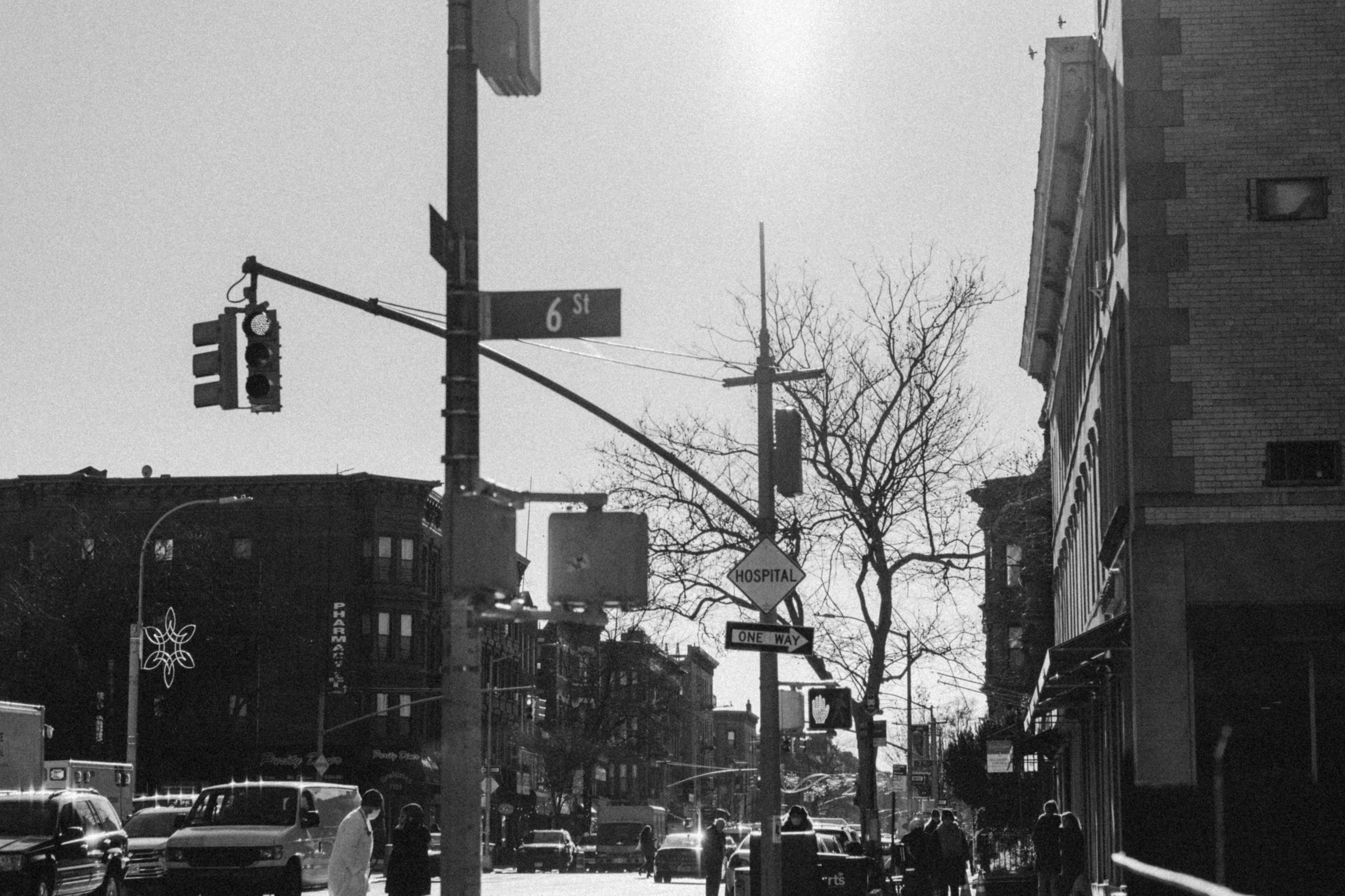 Photo by marsupialpudding