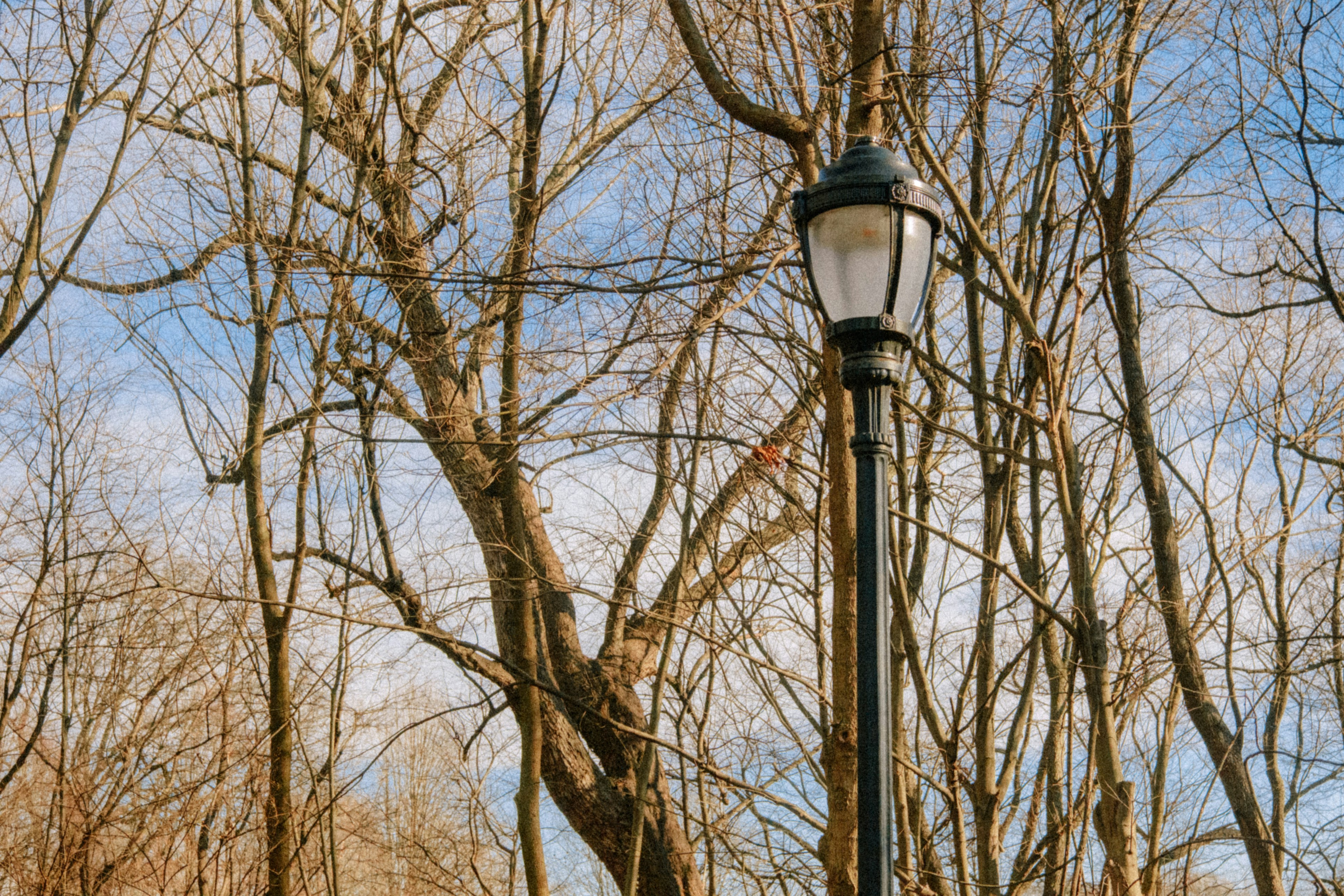 Photo by marsupialpudding