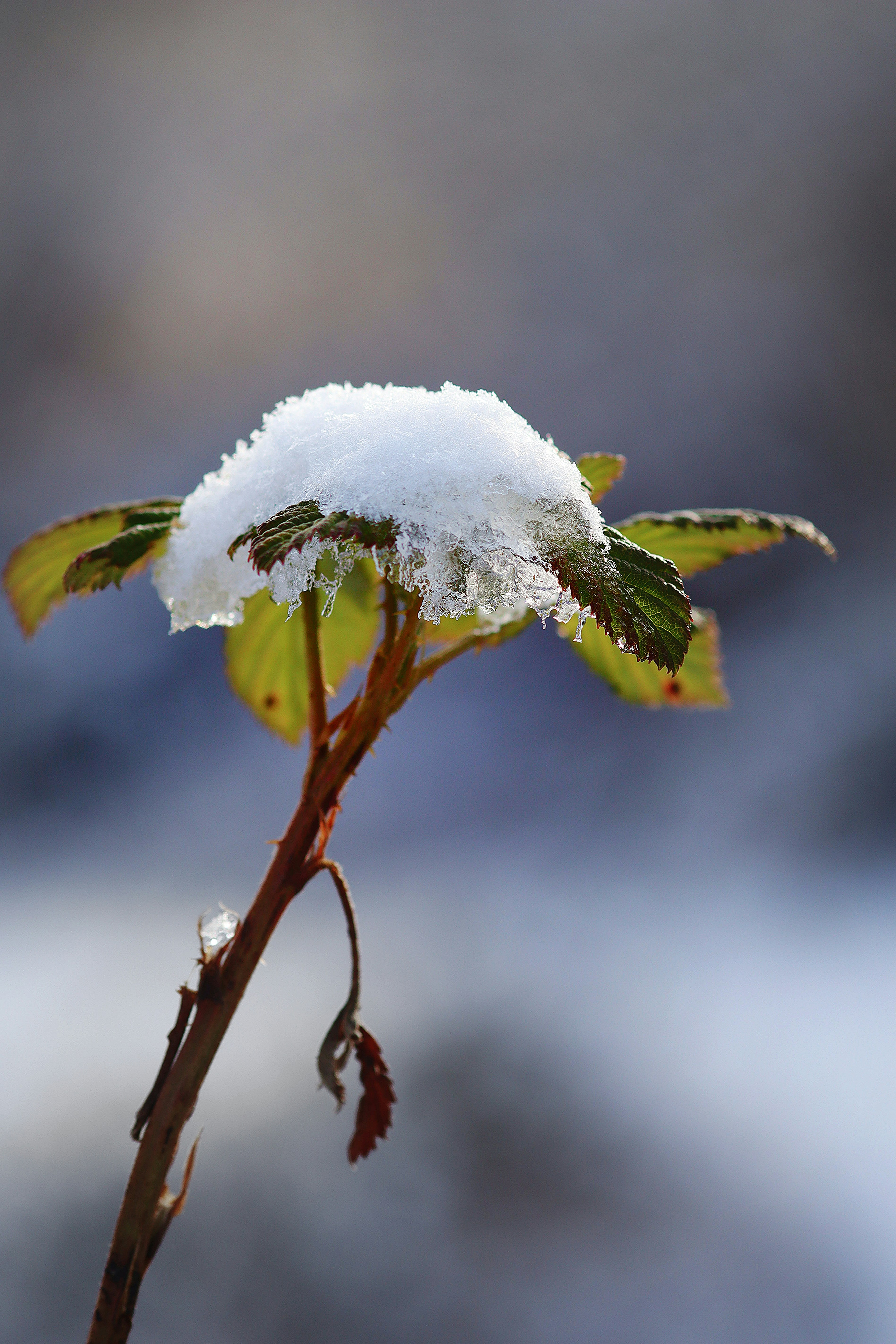 Photo by julien_steffen