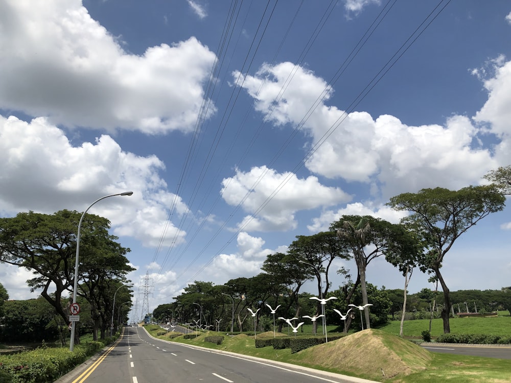 a road with a bunch of birds flying over it