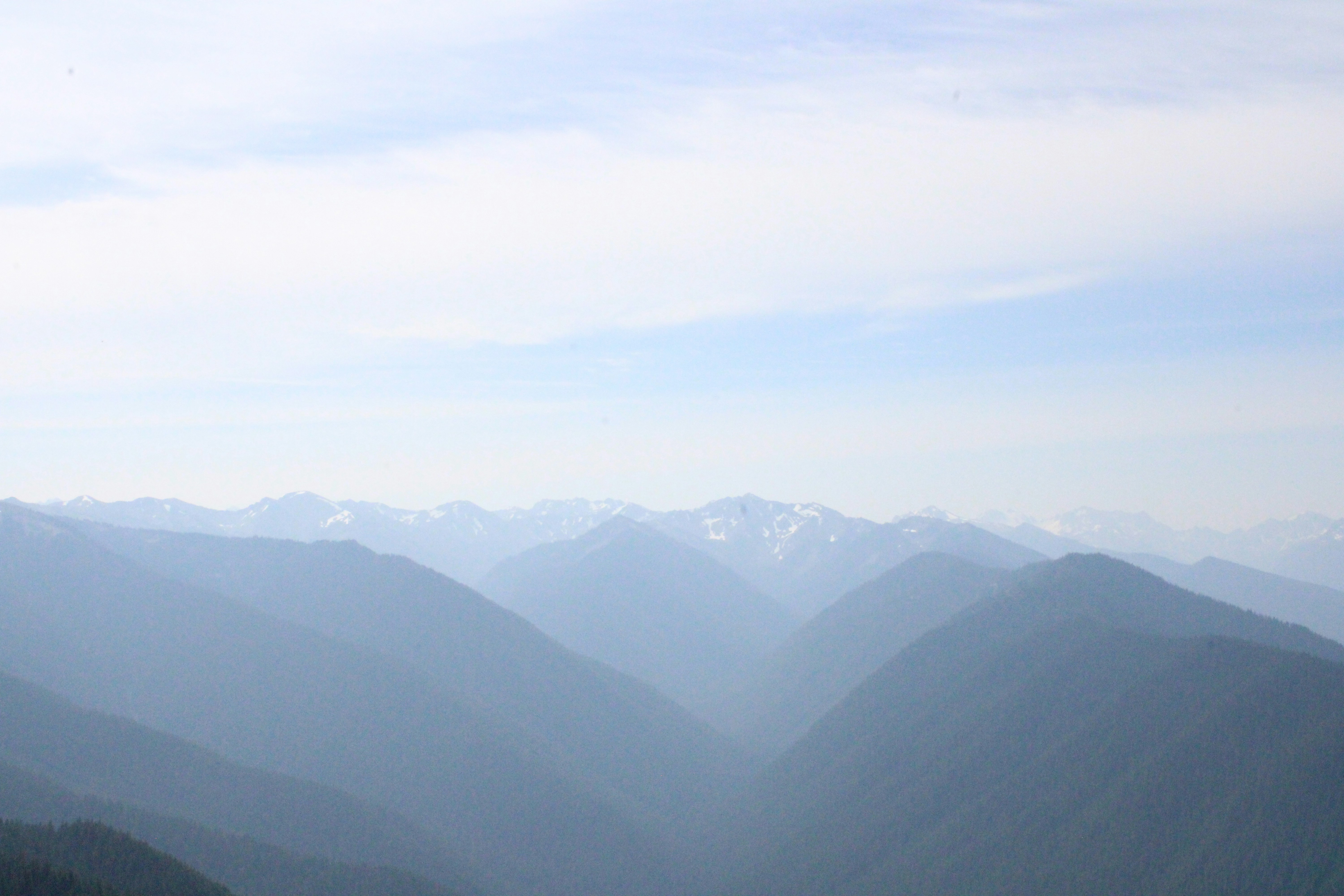 Photo by some_thijing