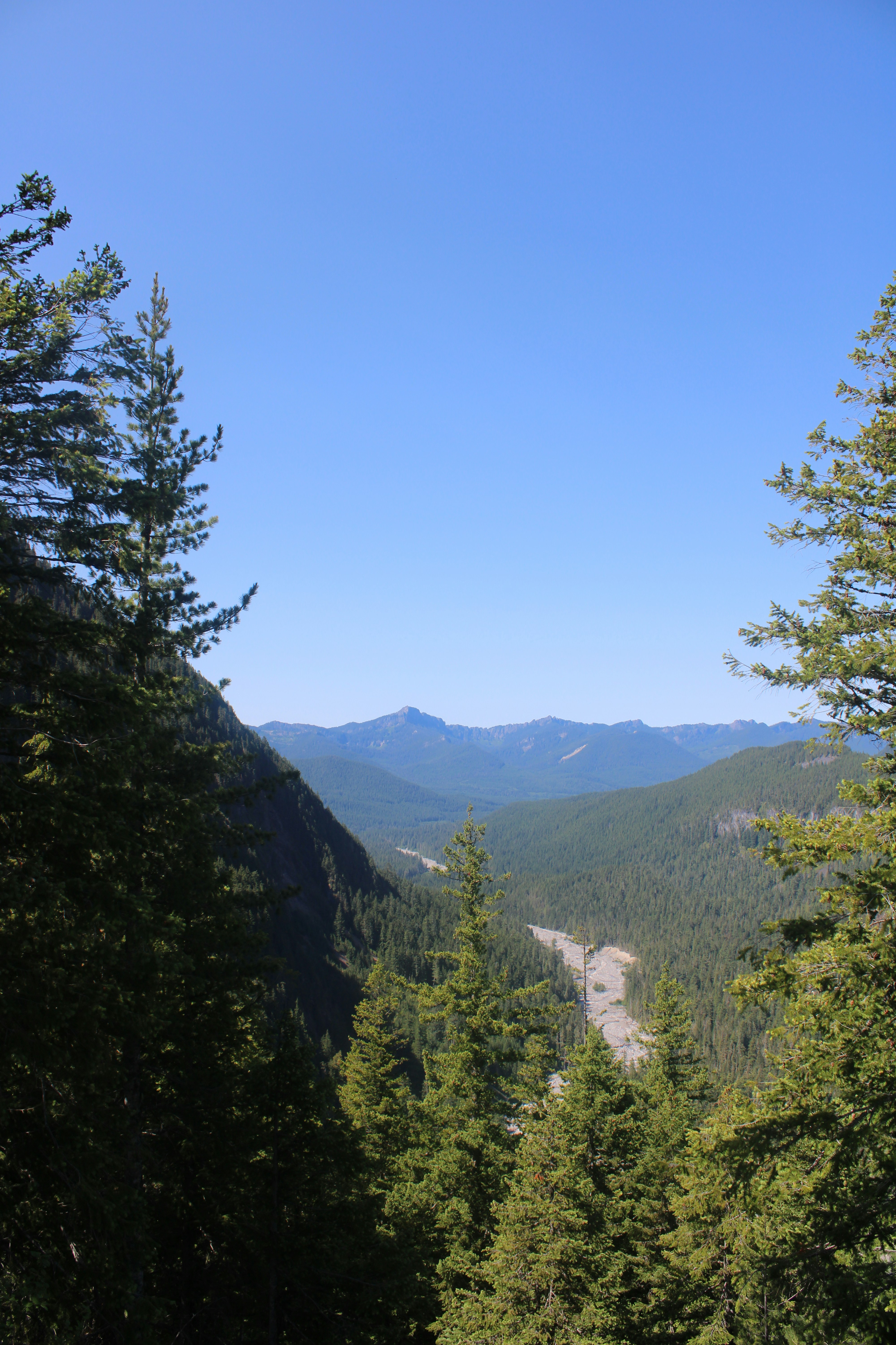 Photo by some_thijing