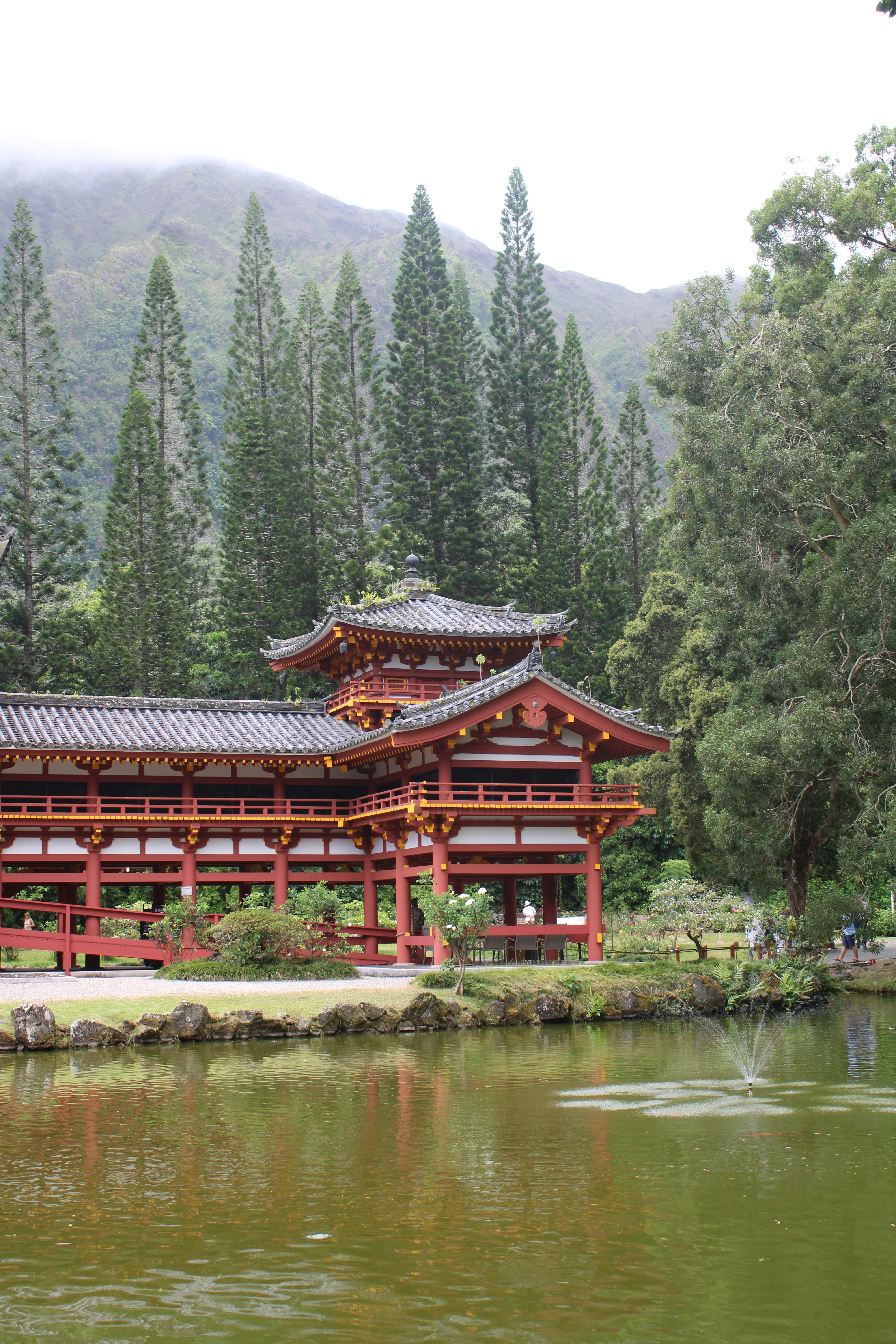 Photo by some_thijing