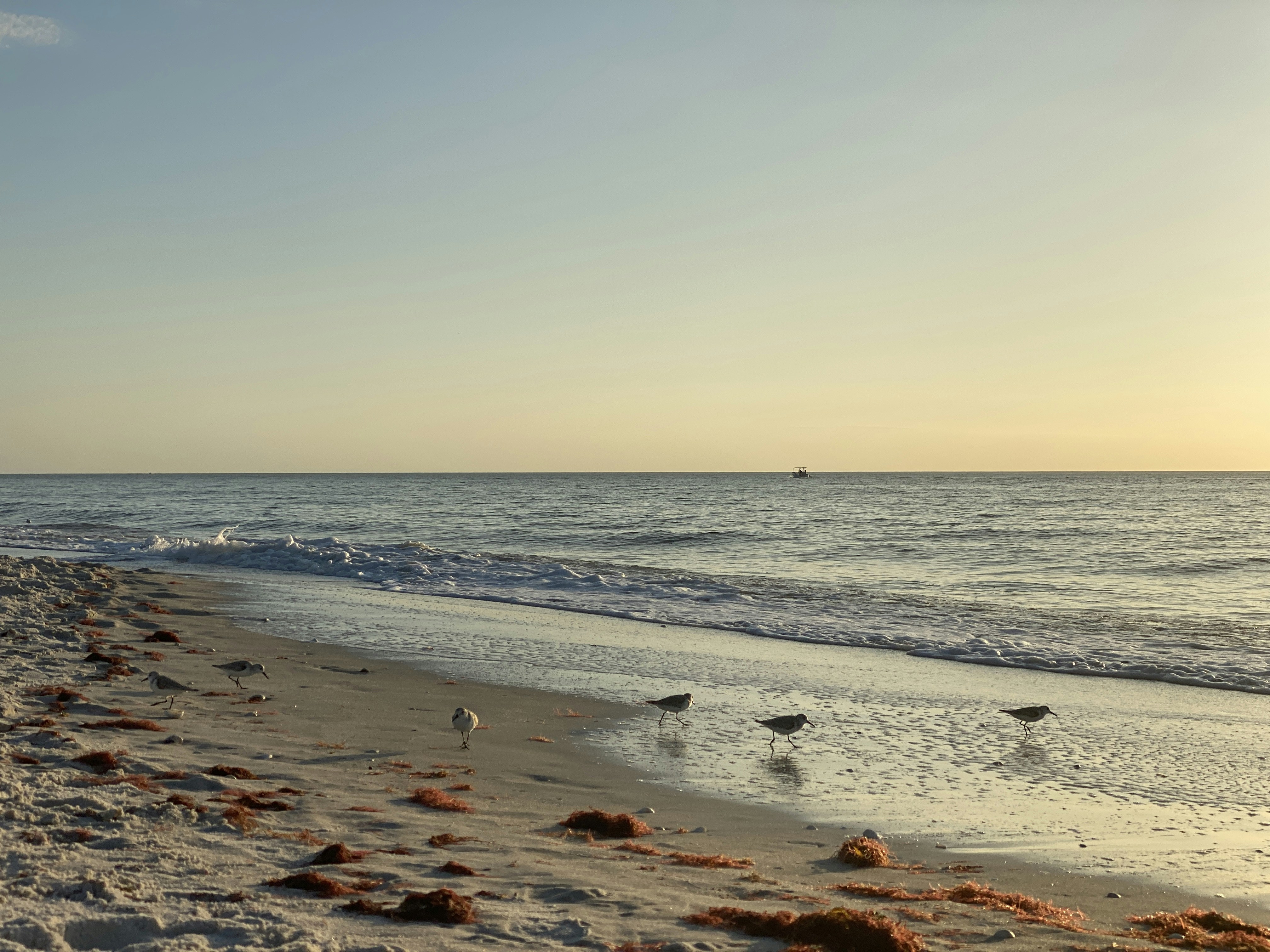 Photo by americanjael