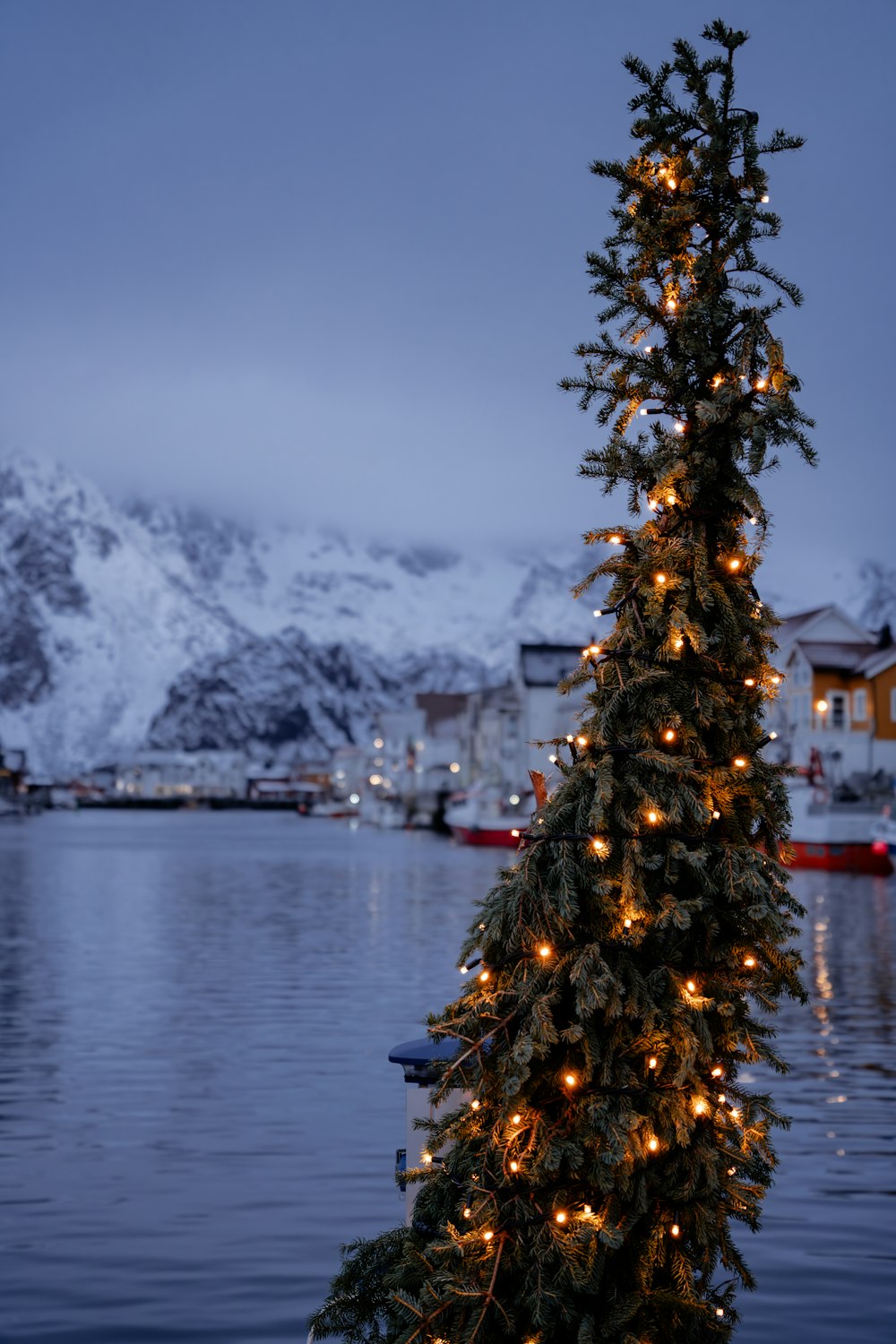 a christmas tree is lit up in front of a body of water