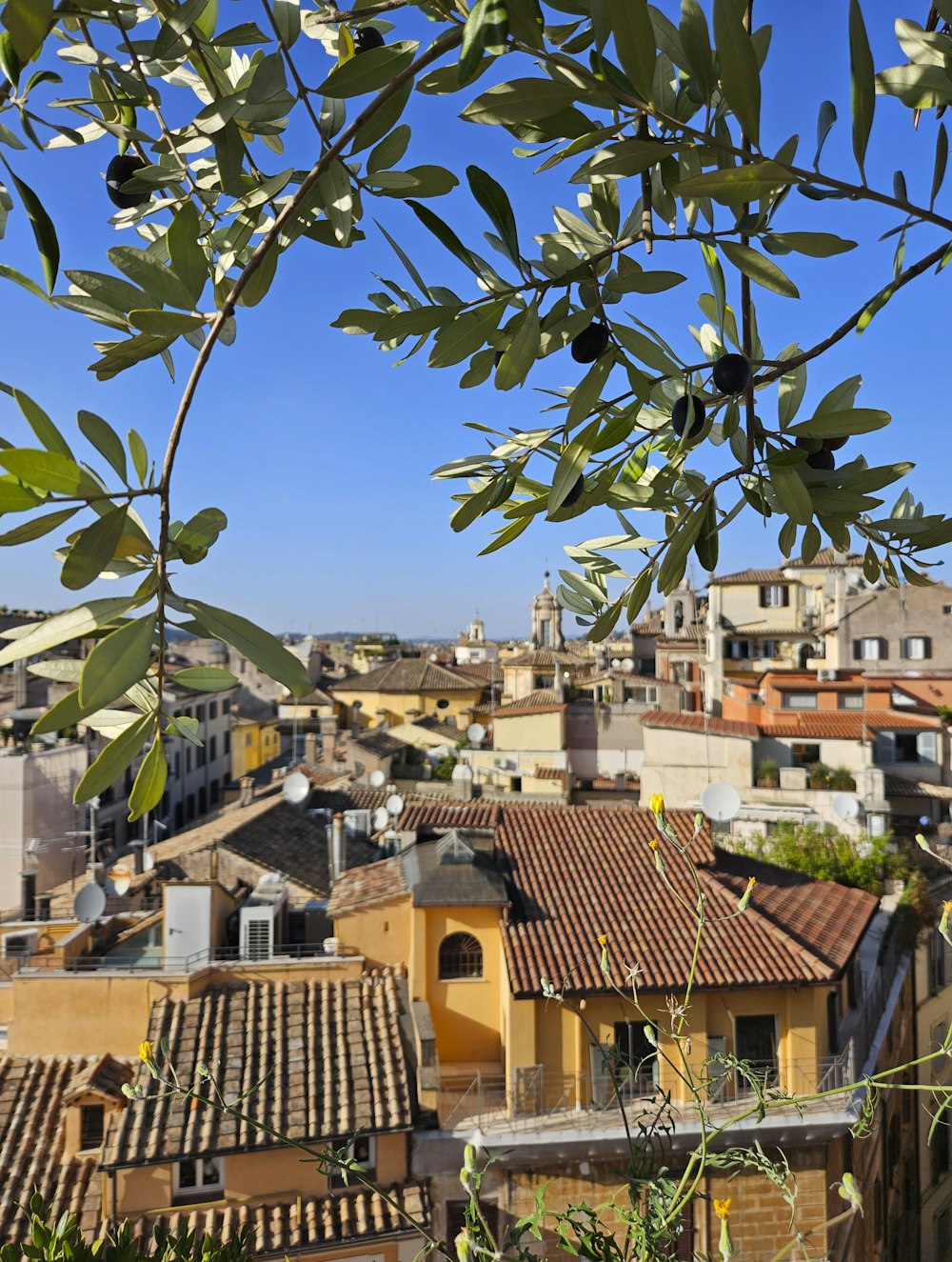 a view of a city from a rooftop