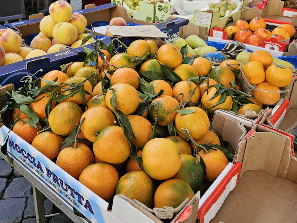 a pile of oranges sitting on top of a table