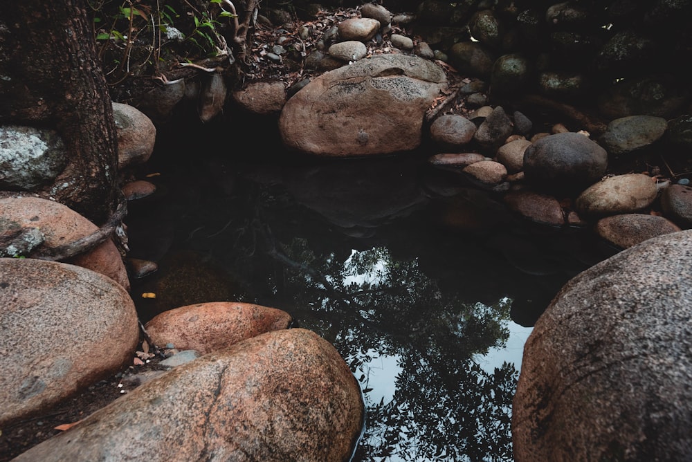 a small pond surrounded by rocks and trees