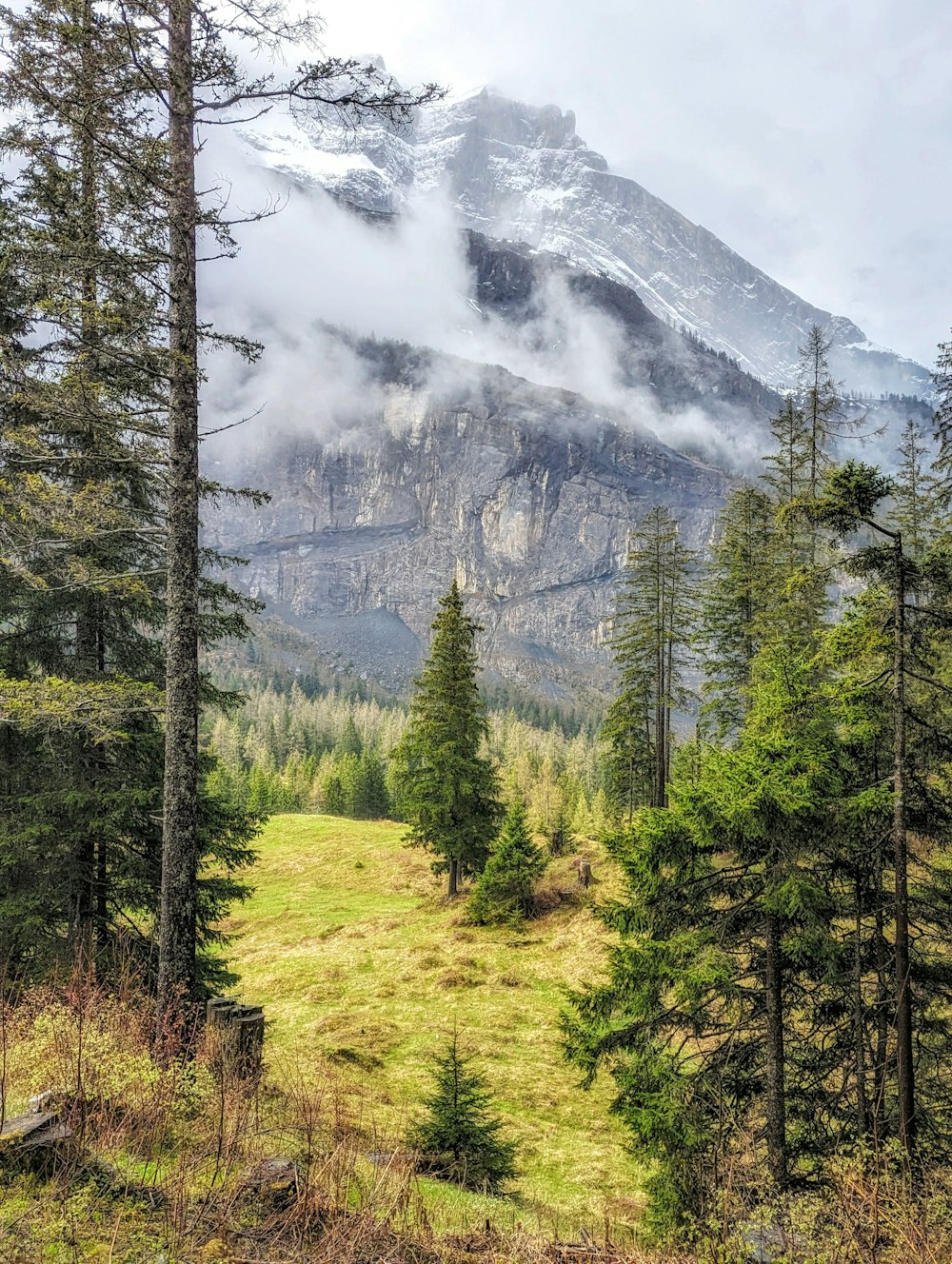 Blick auf einen Berg mit Bäumen im Vordergrund