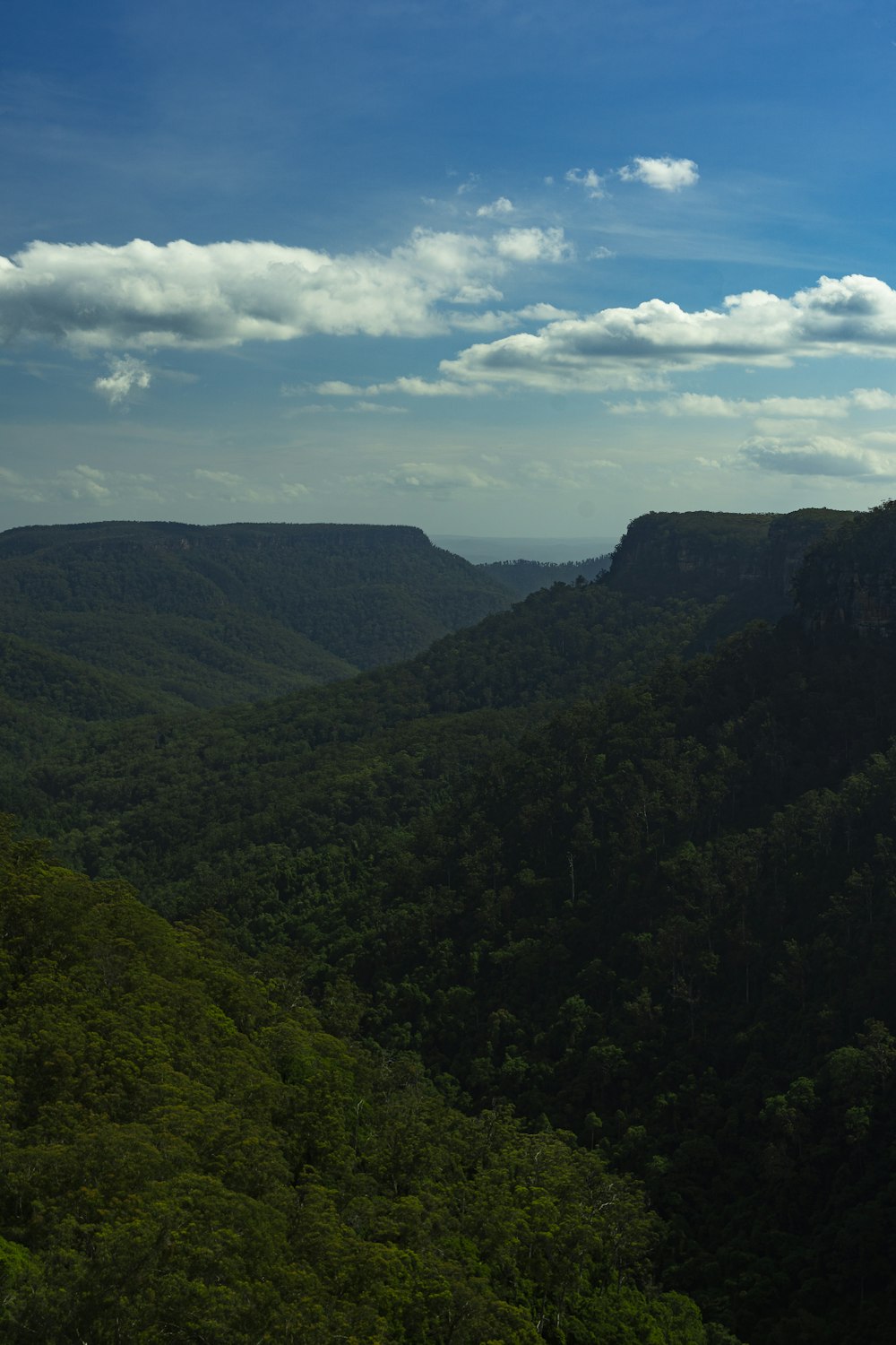 a scenic view of a mountain range with green trees