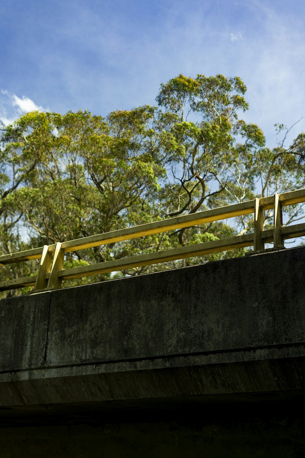 a man riding a skateboard on top of a bridge