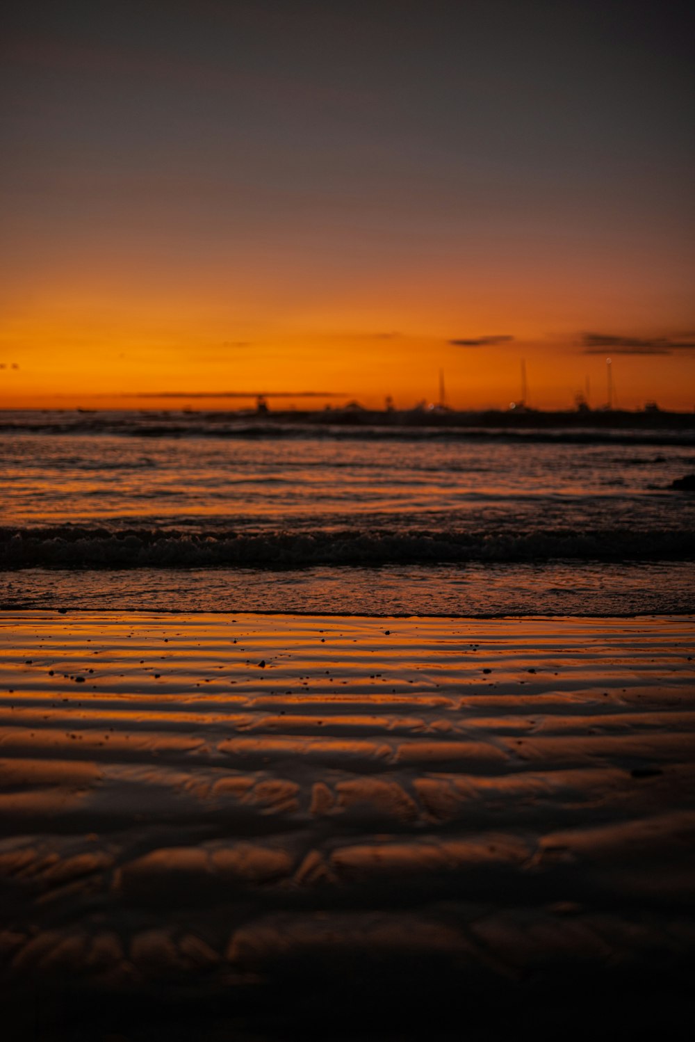 a bird is standing on the beach at sunset