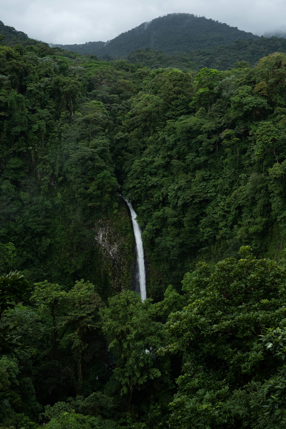 a waterfall in the middle of a lush green forest