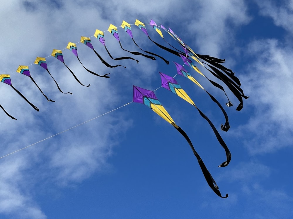 a bunch of kites are flying in the sky