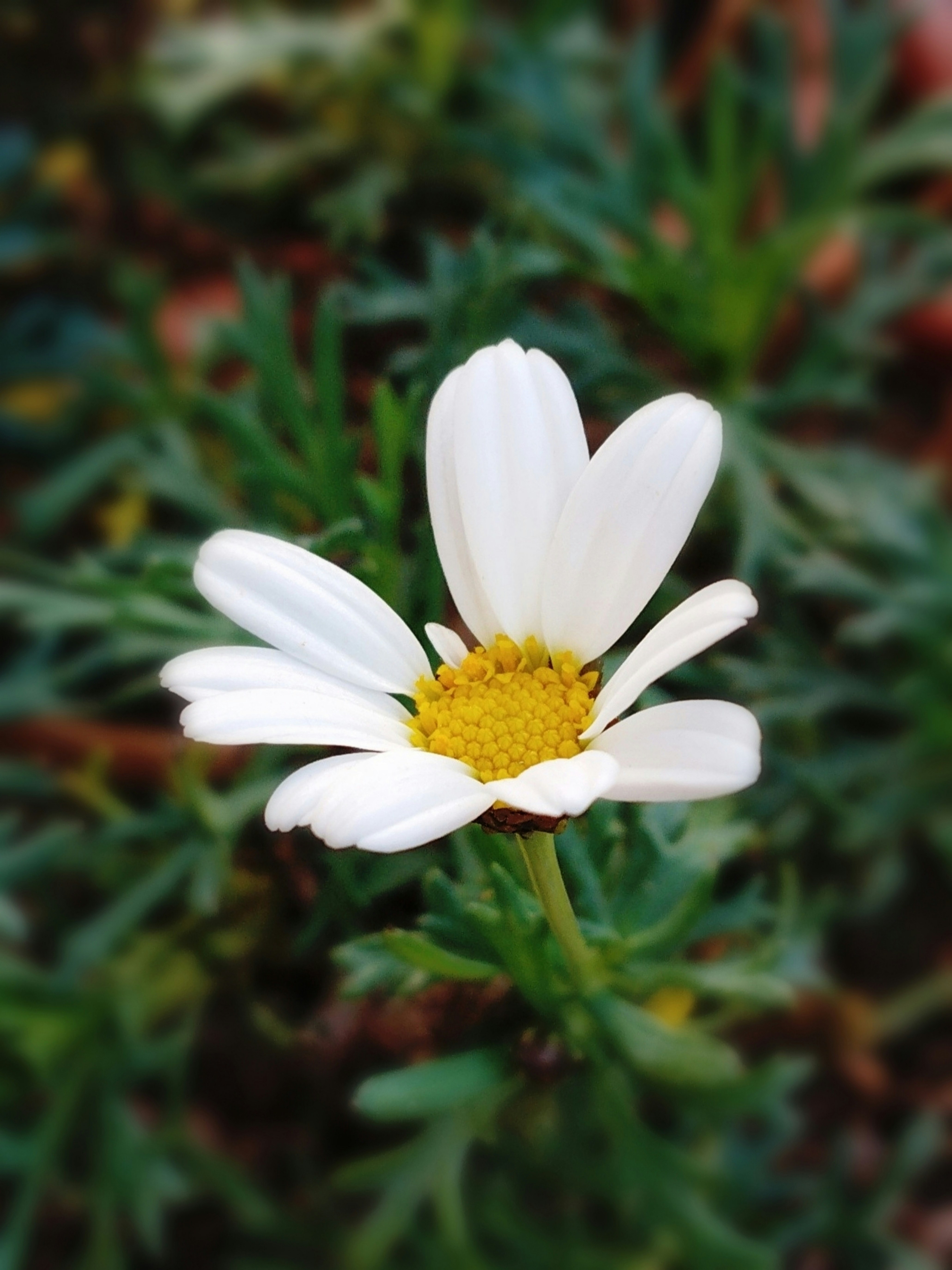 Photo by artdemarta_