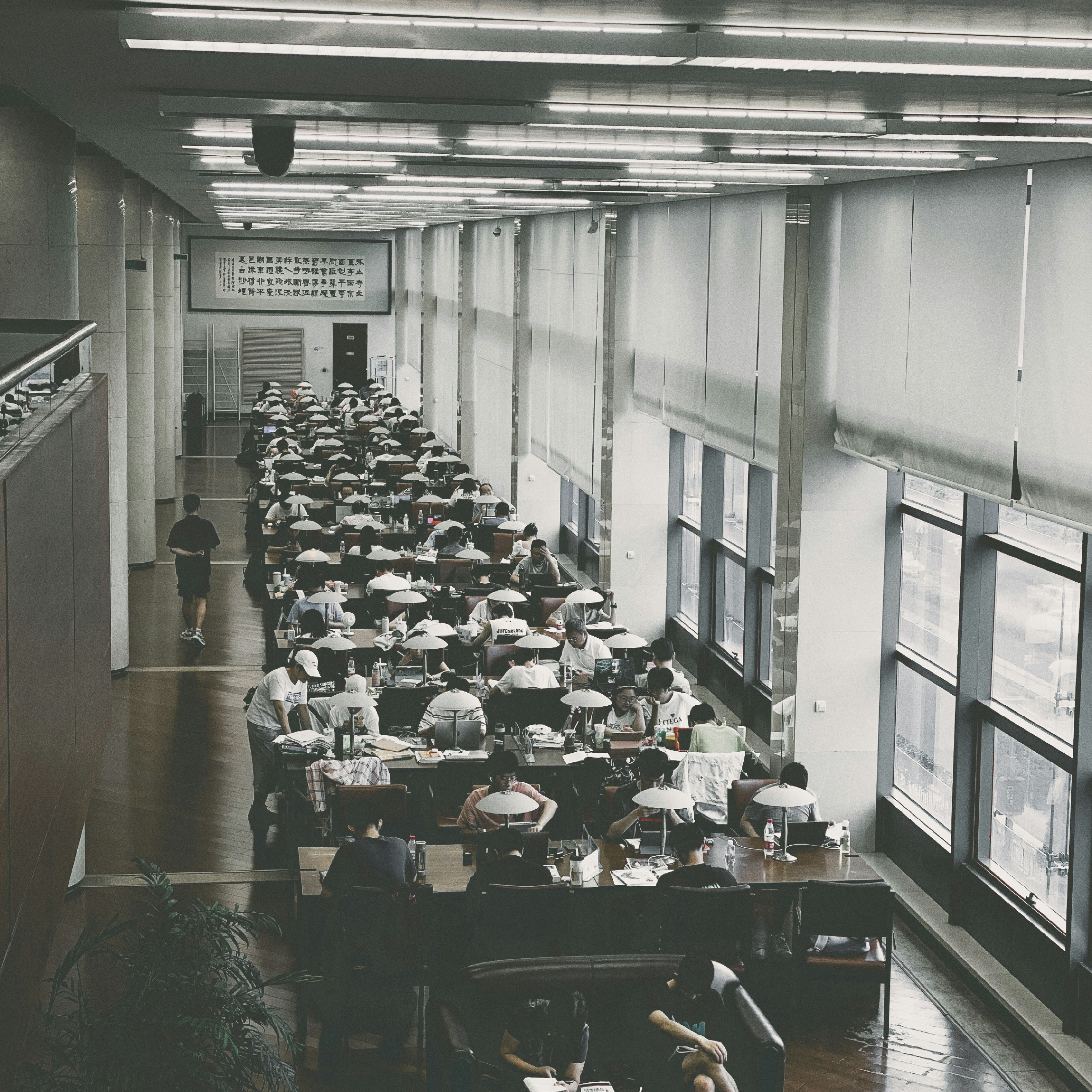 Student studying at desk in bright modern library with airy open space and natural light