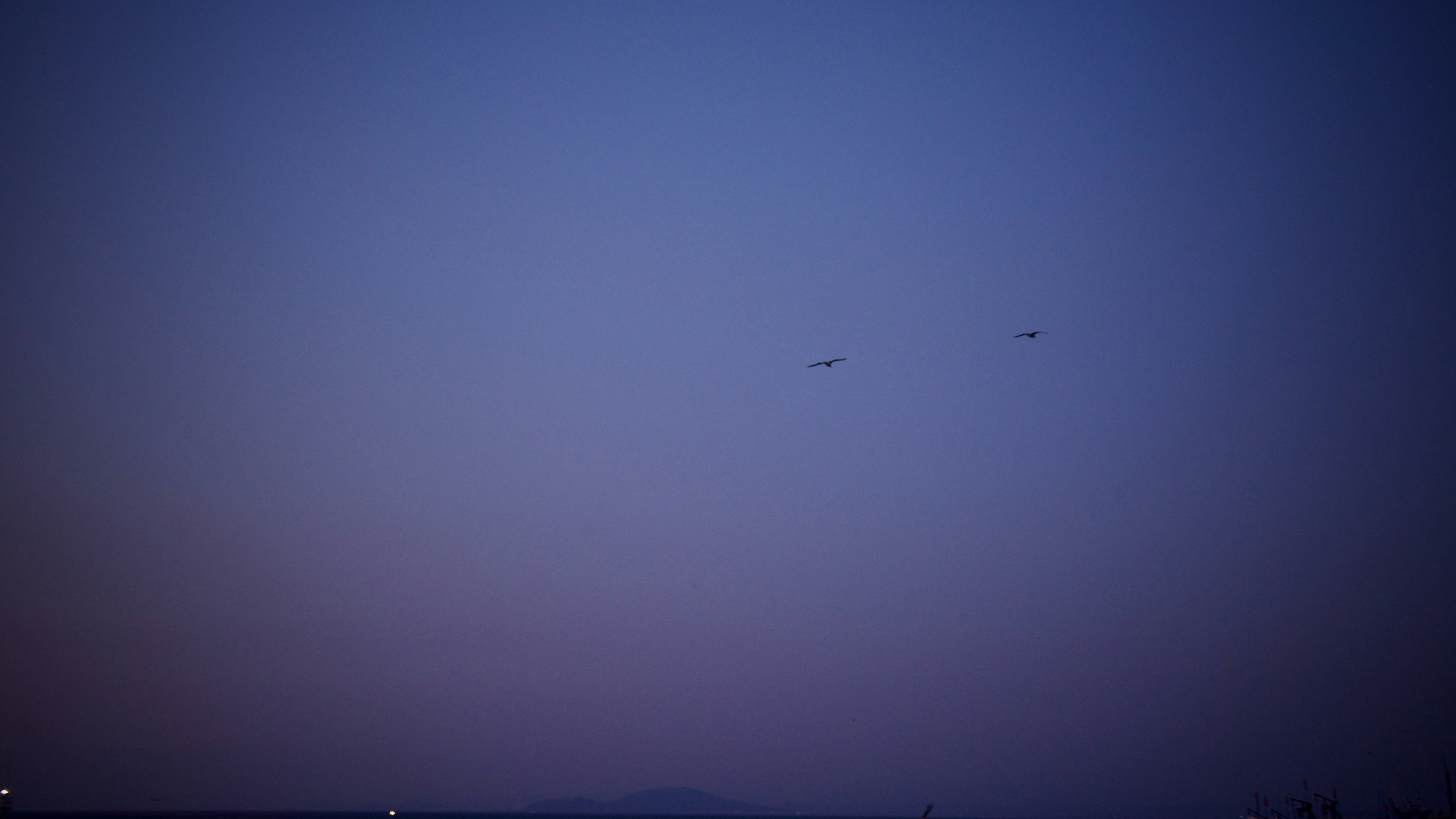 Photo by max_is_max