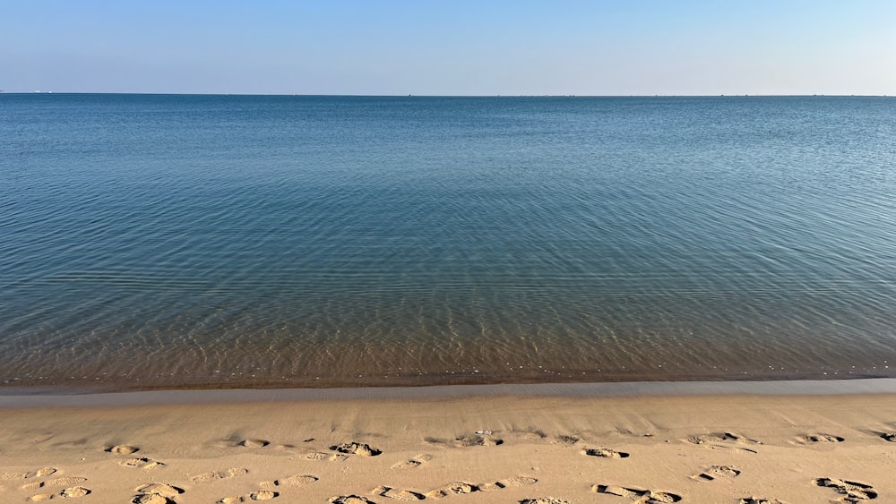 footprints in the sand on a beach near the ocean