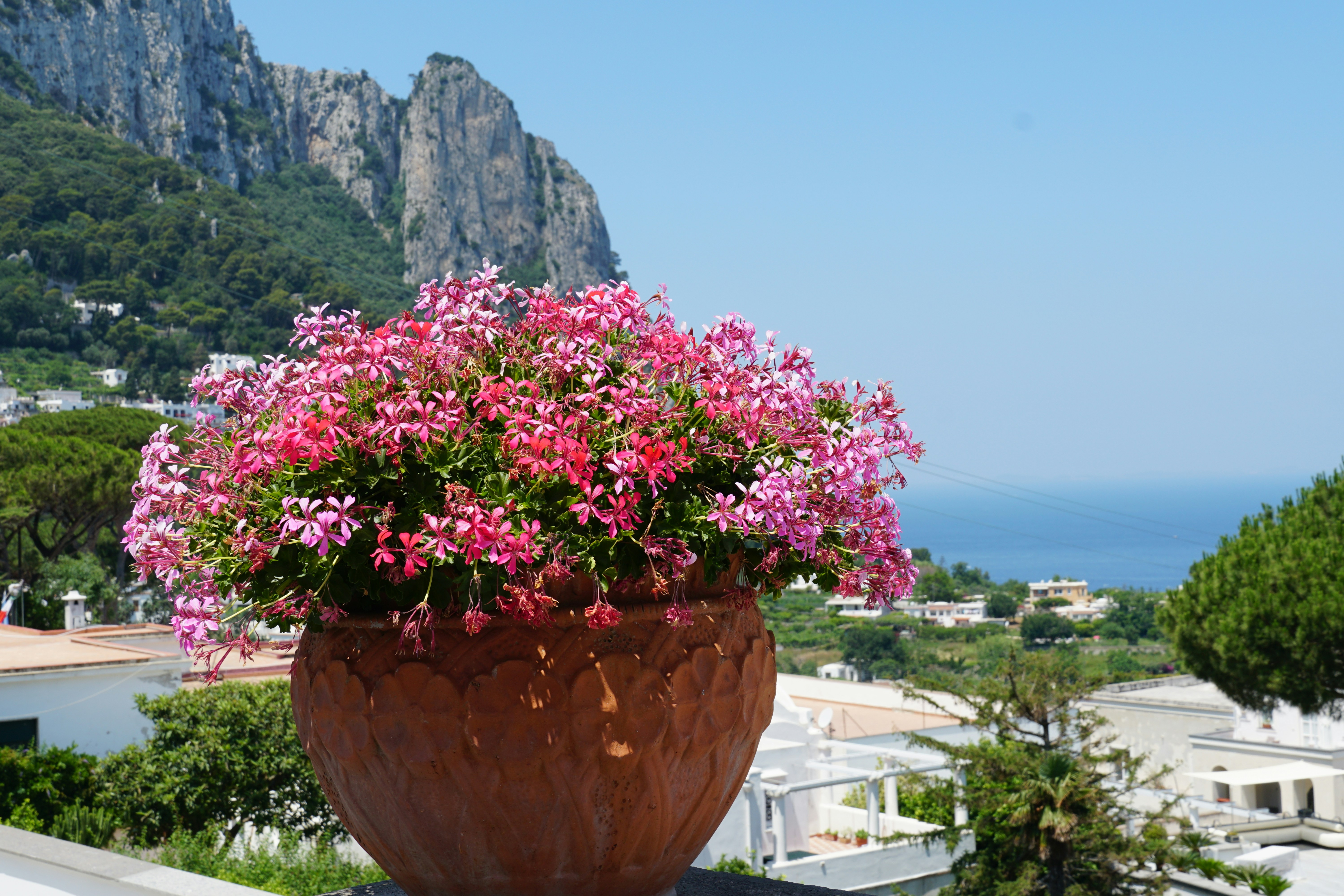 Gardens of Augustus: A Floral Paradise Awaits: Introduction to the Gardens