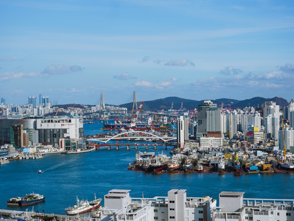 a large body of water surrounded by tall buildings