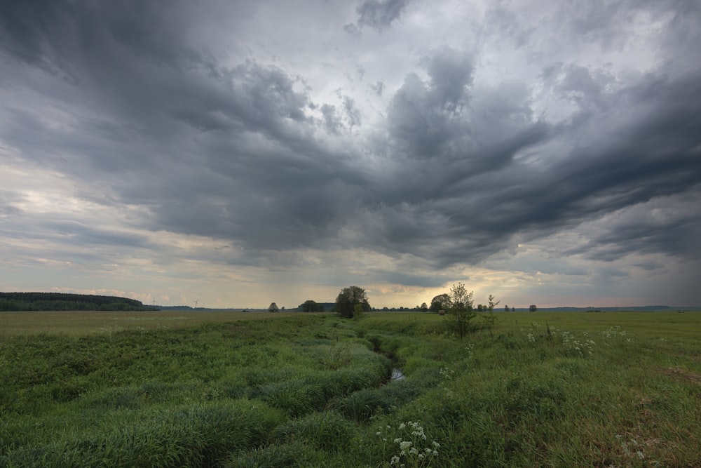 a field with a stream running through it under a cloudy sky