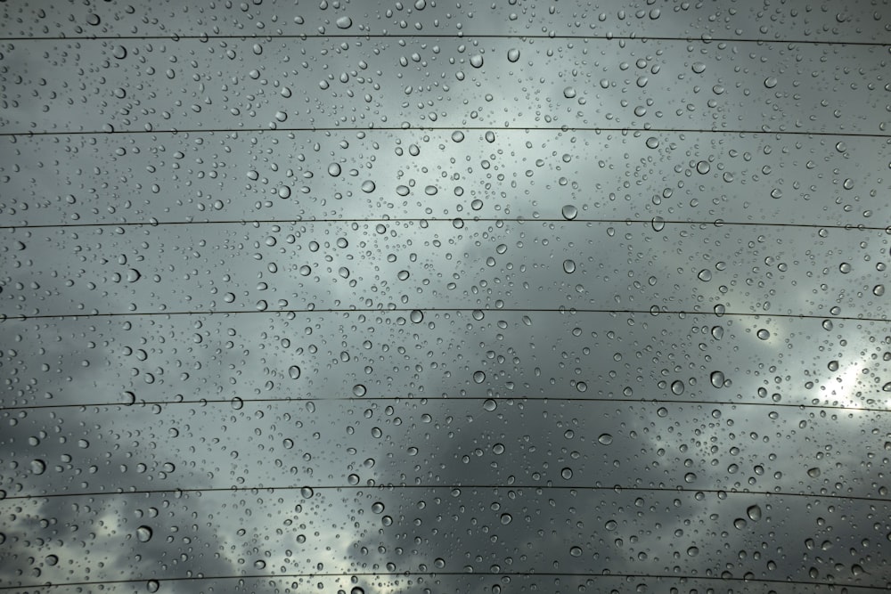 자동차 앞 유리에 빗방울