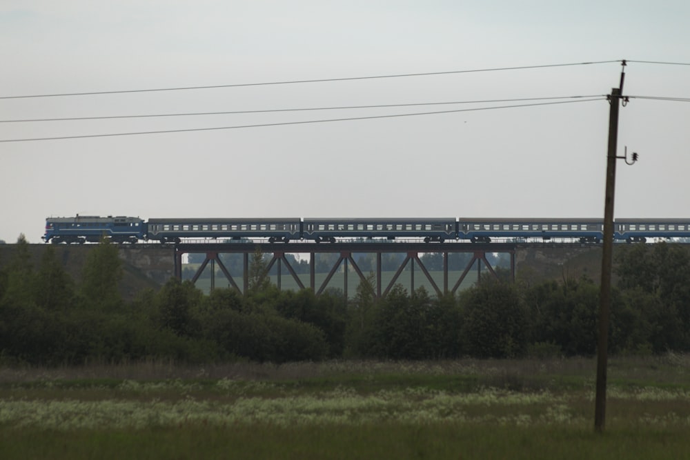 a train traveling over a bridge over a lush green field