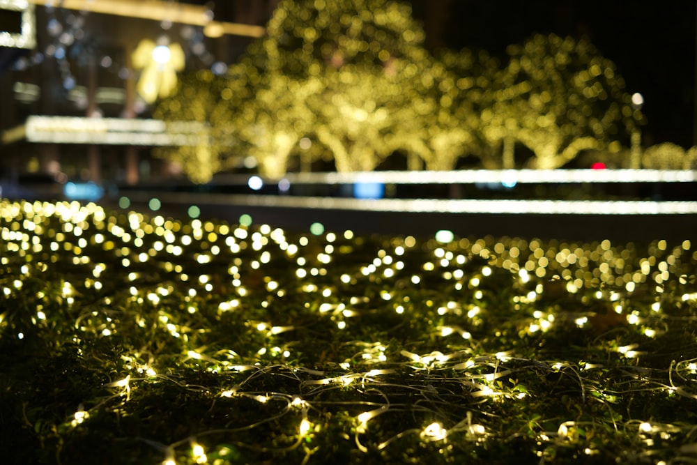 a bunch of lights that are in the grass