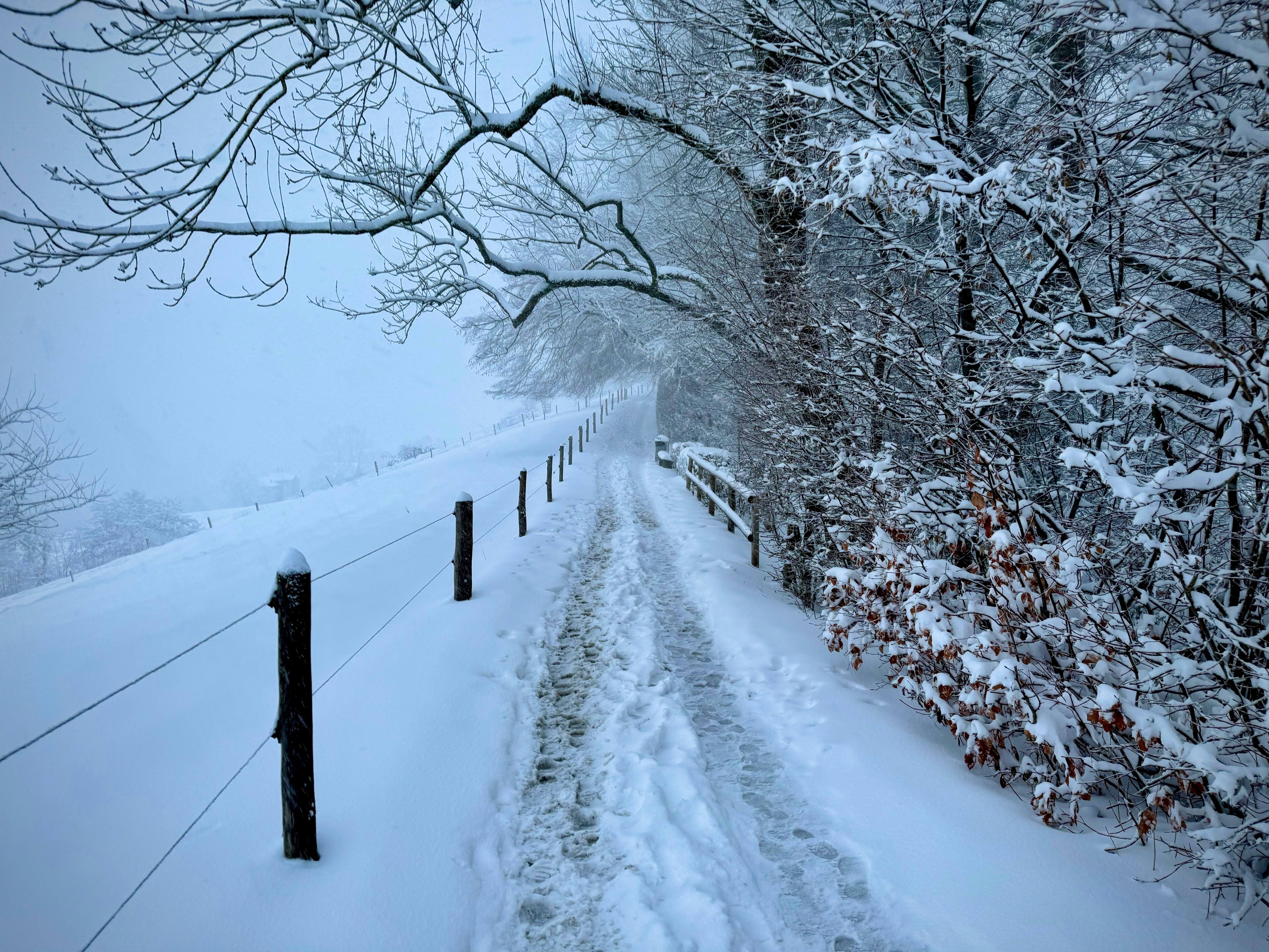 Photo by tenekephotos