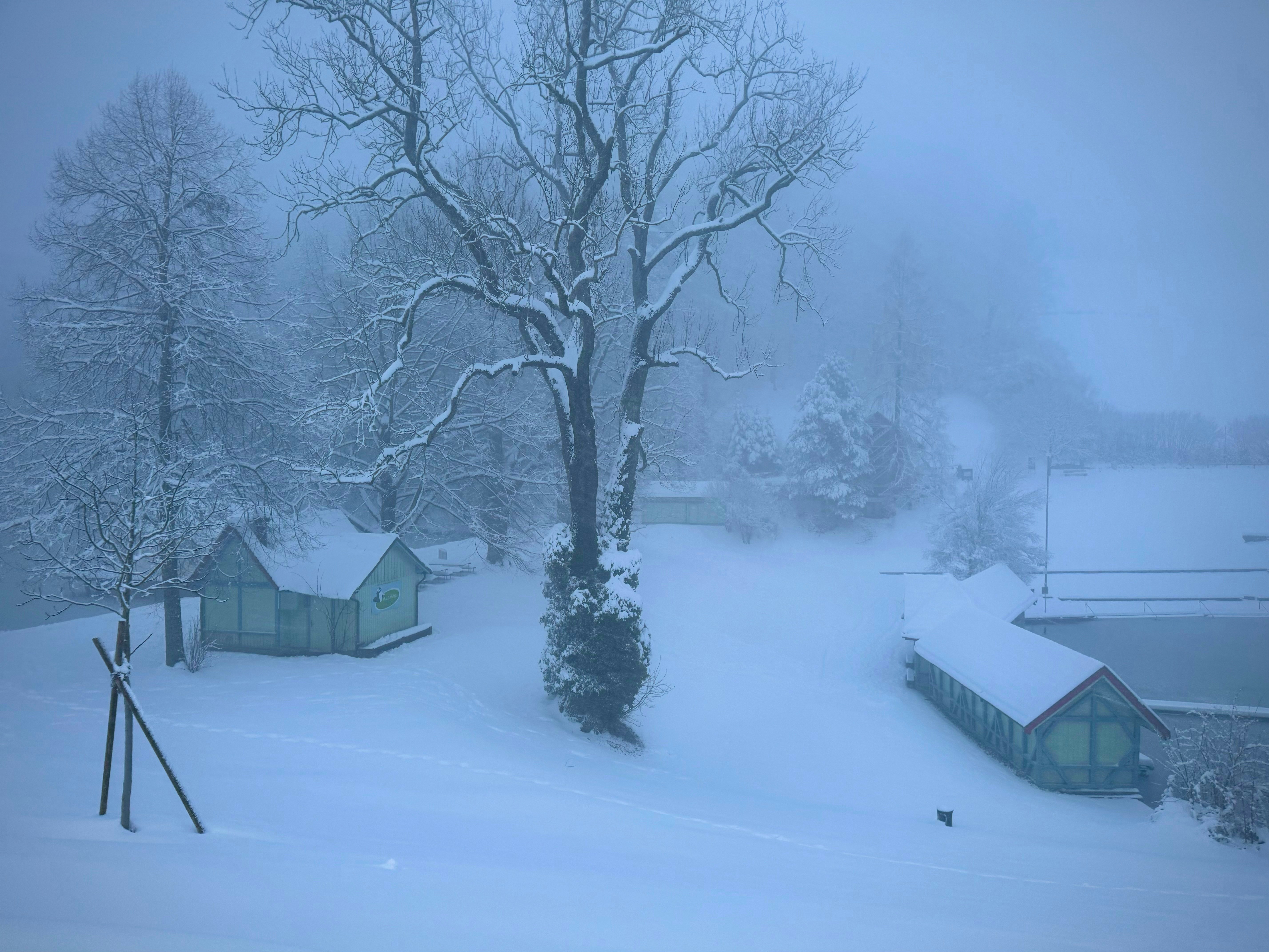 Photo by tenekephotos