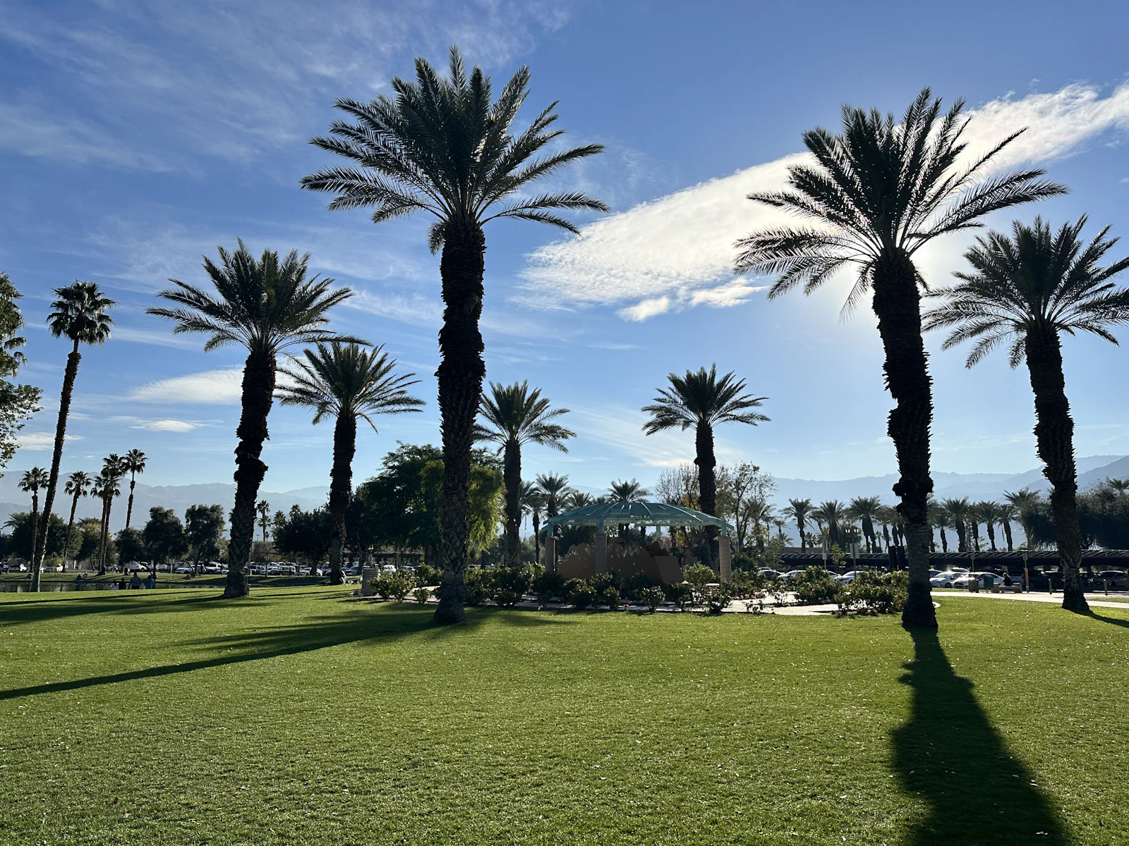 Palm Springs California palm trees and mountains family travel Clear photo from Unsplash