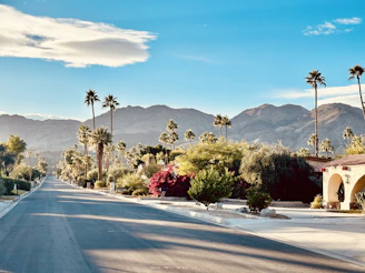 a street lined with palm trees and mountains