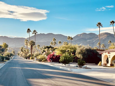 a street lined with palm trees and mountains