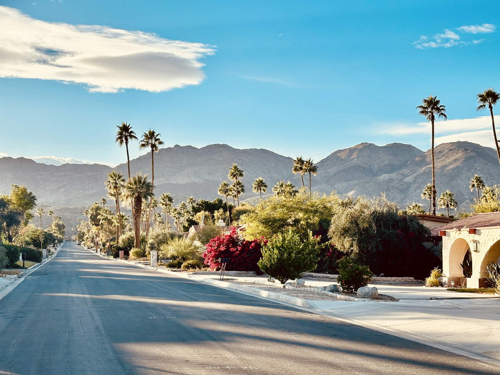 a street lined with palm trees and mountains