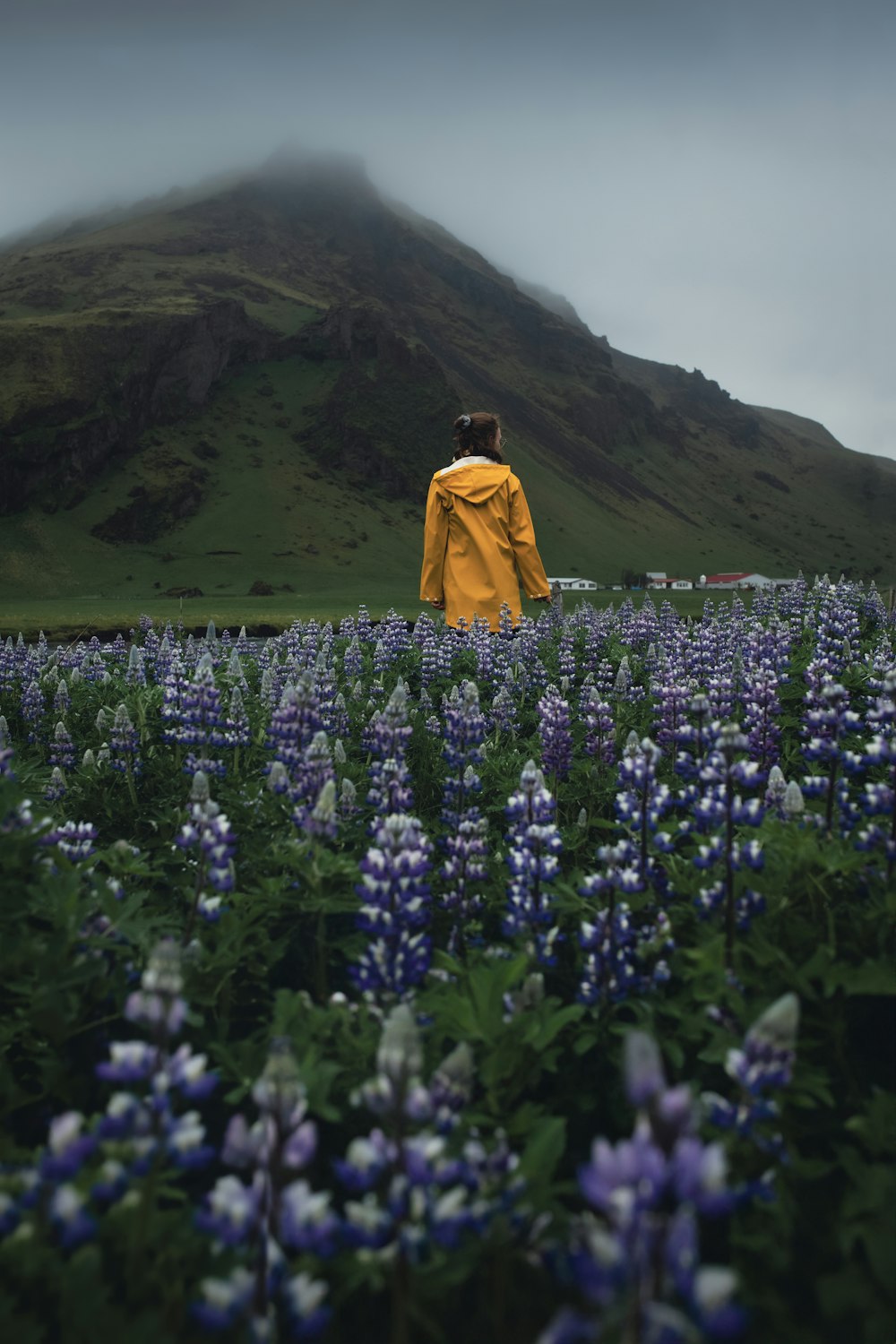 a person standing in a field of flowers