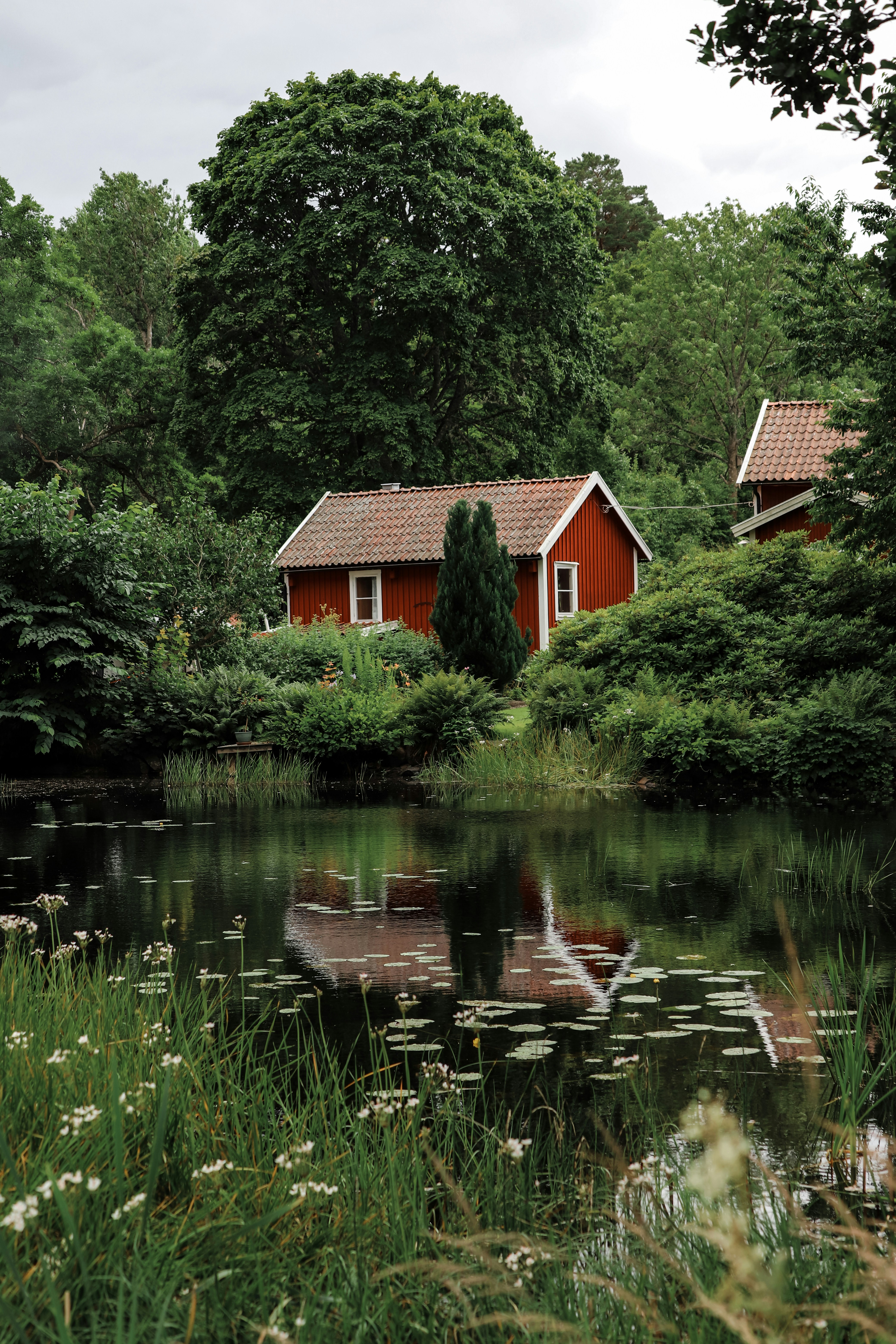 Garden with a Pond and Native Plants