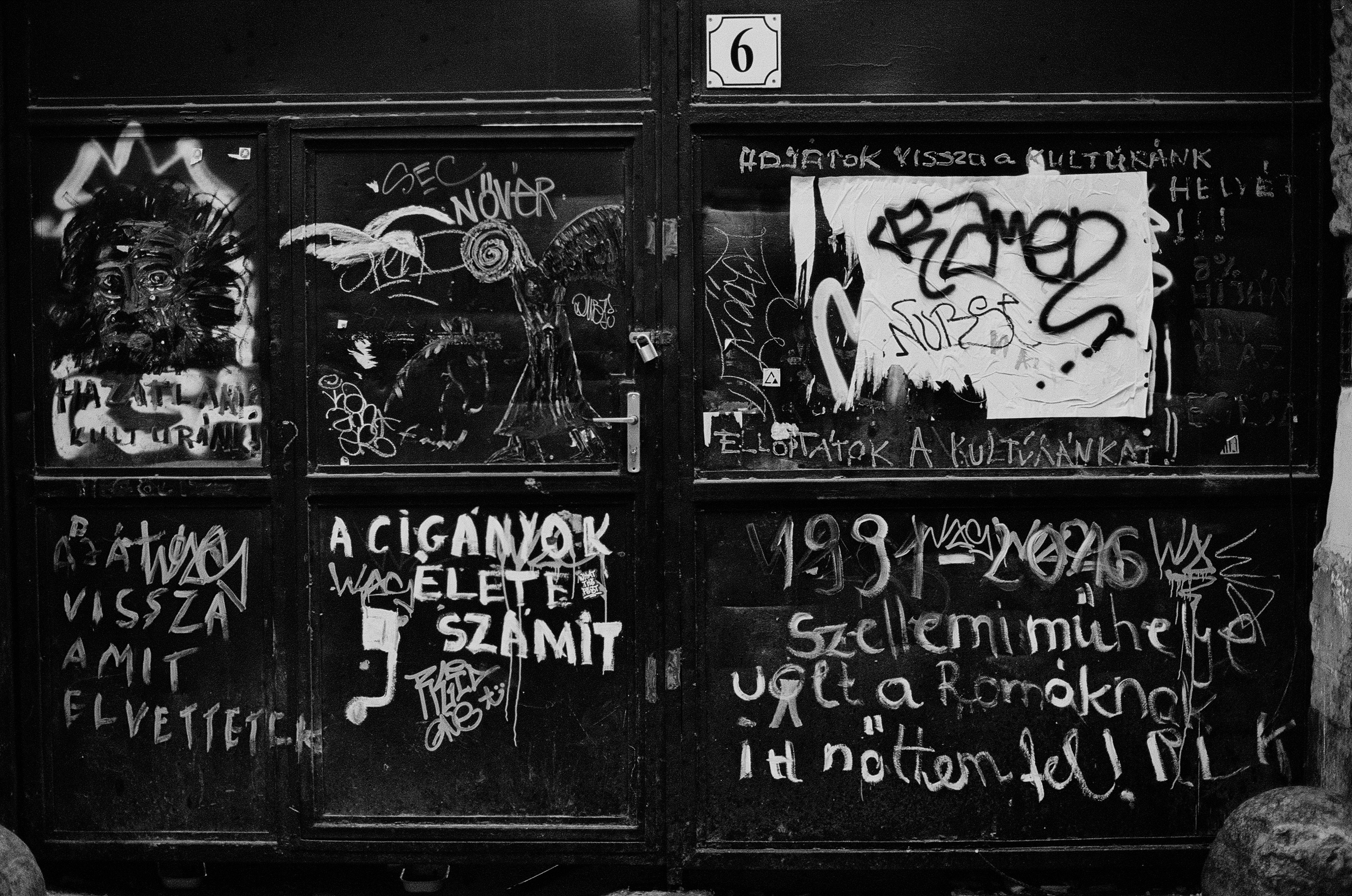 Photo by stachmann