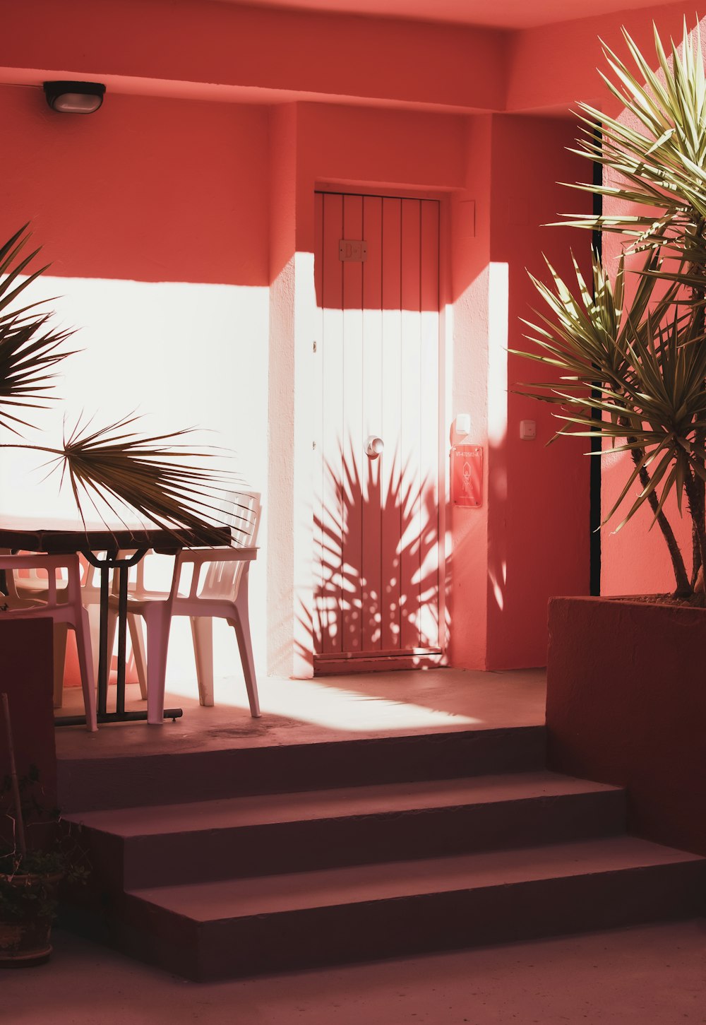 a patio with a table and chairs next to a palm tree