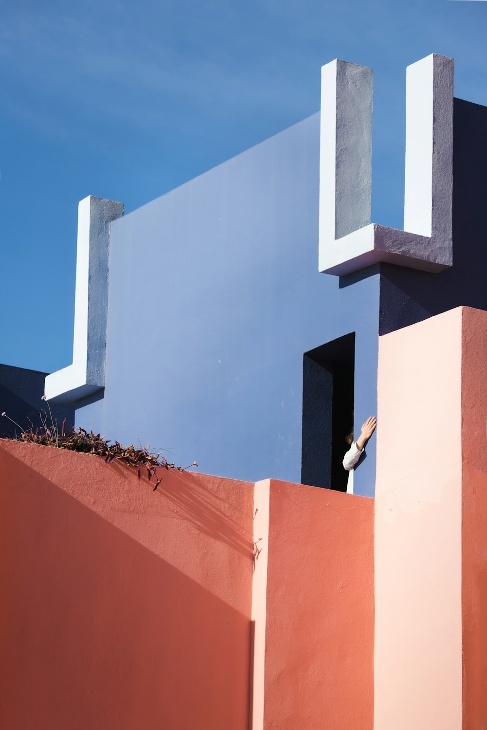 a bird is perched on the side of a building