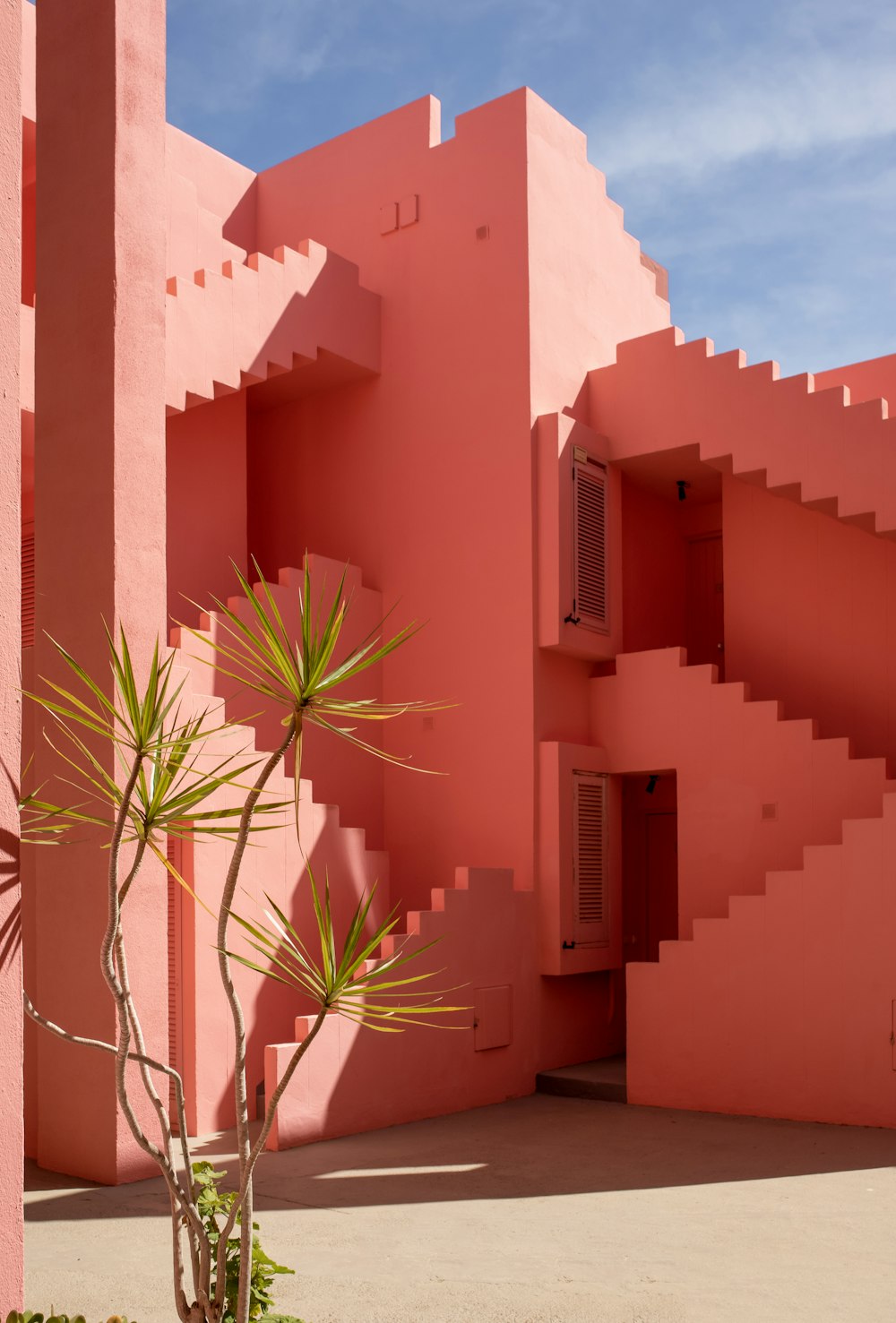 a plant in a pot in front of a pink building