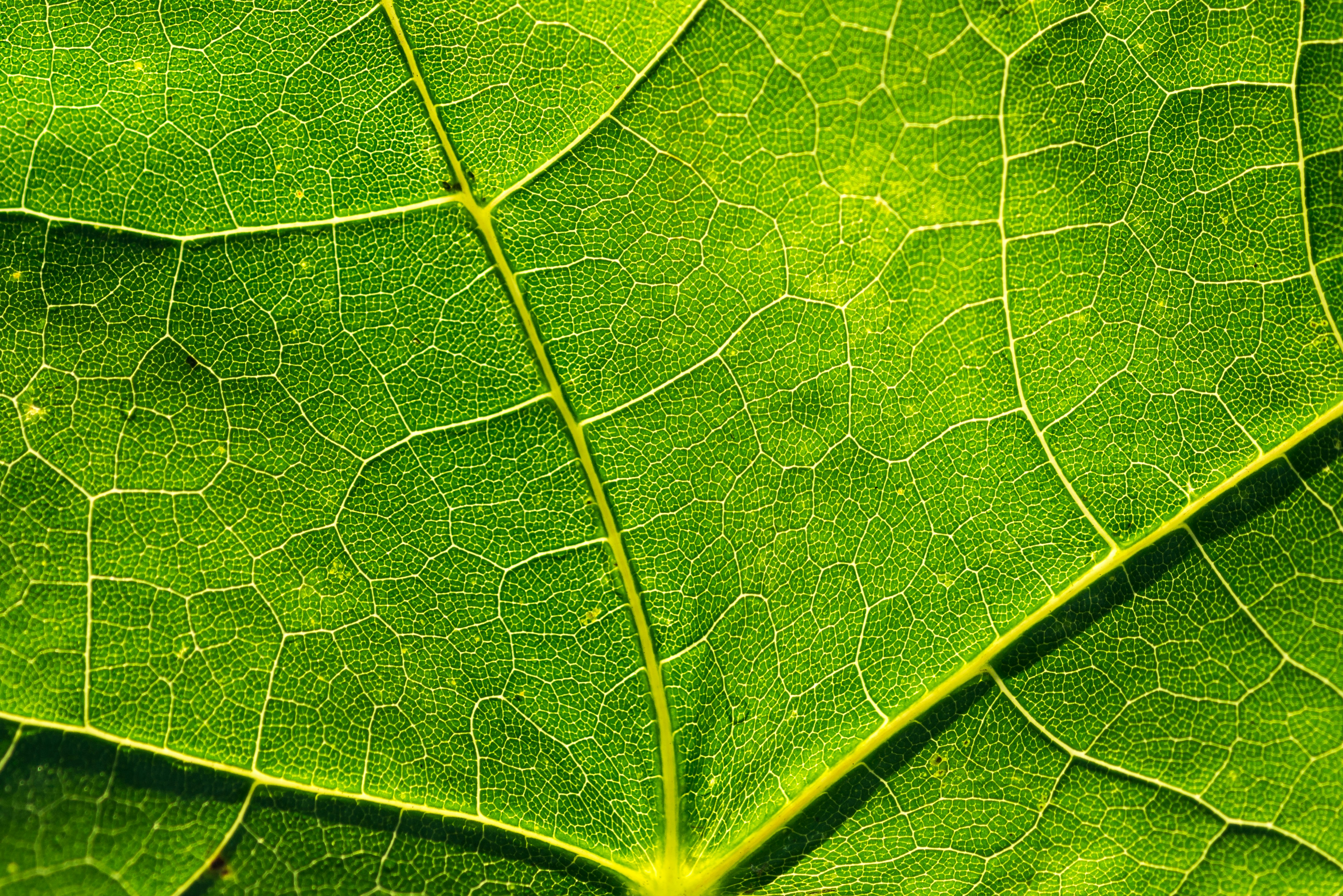 Photo by hamburgmeinefreundin