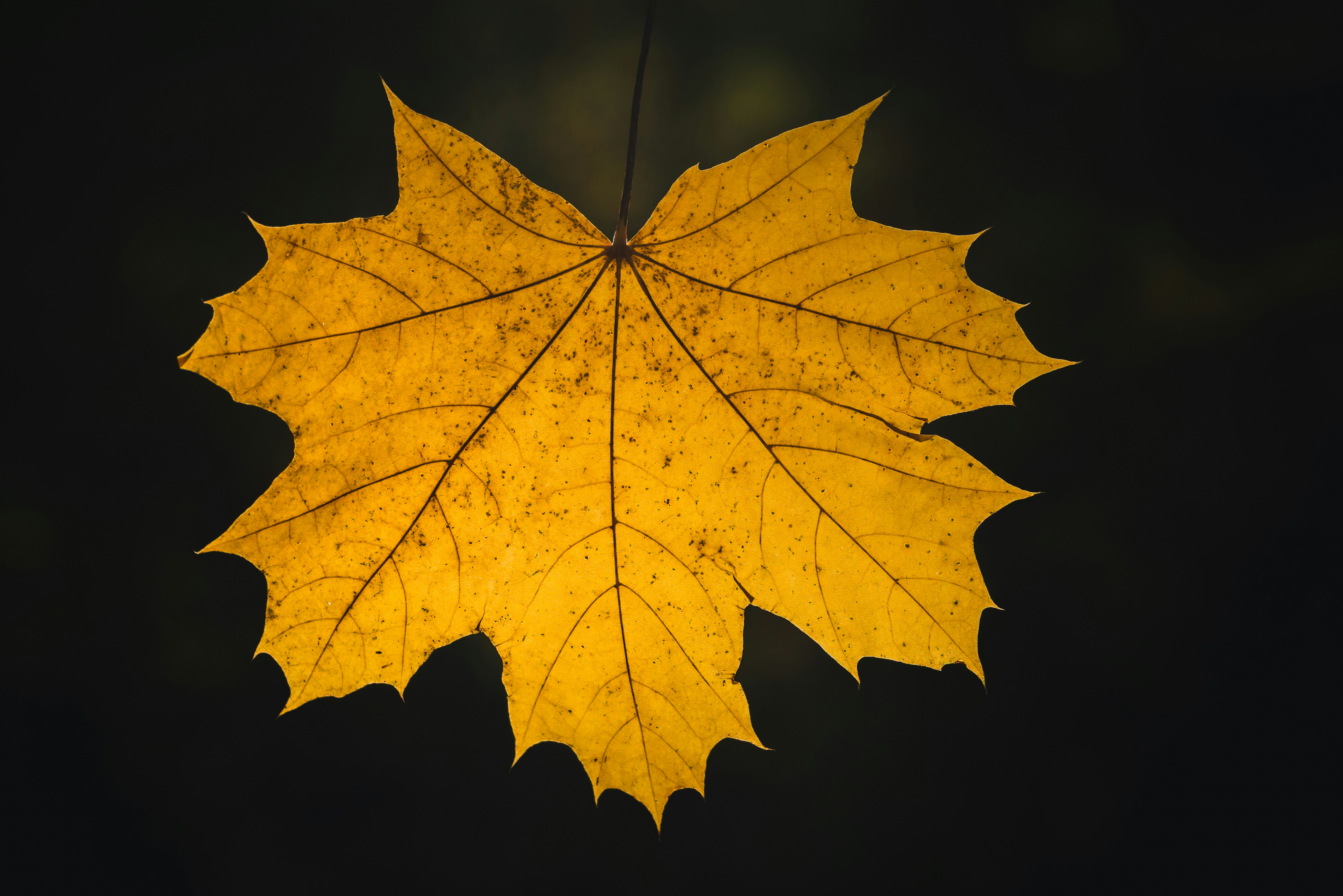 Photo by hamburgmeinefreundin