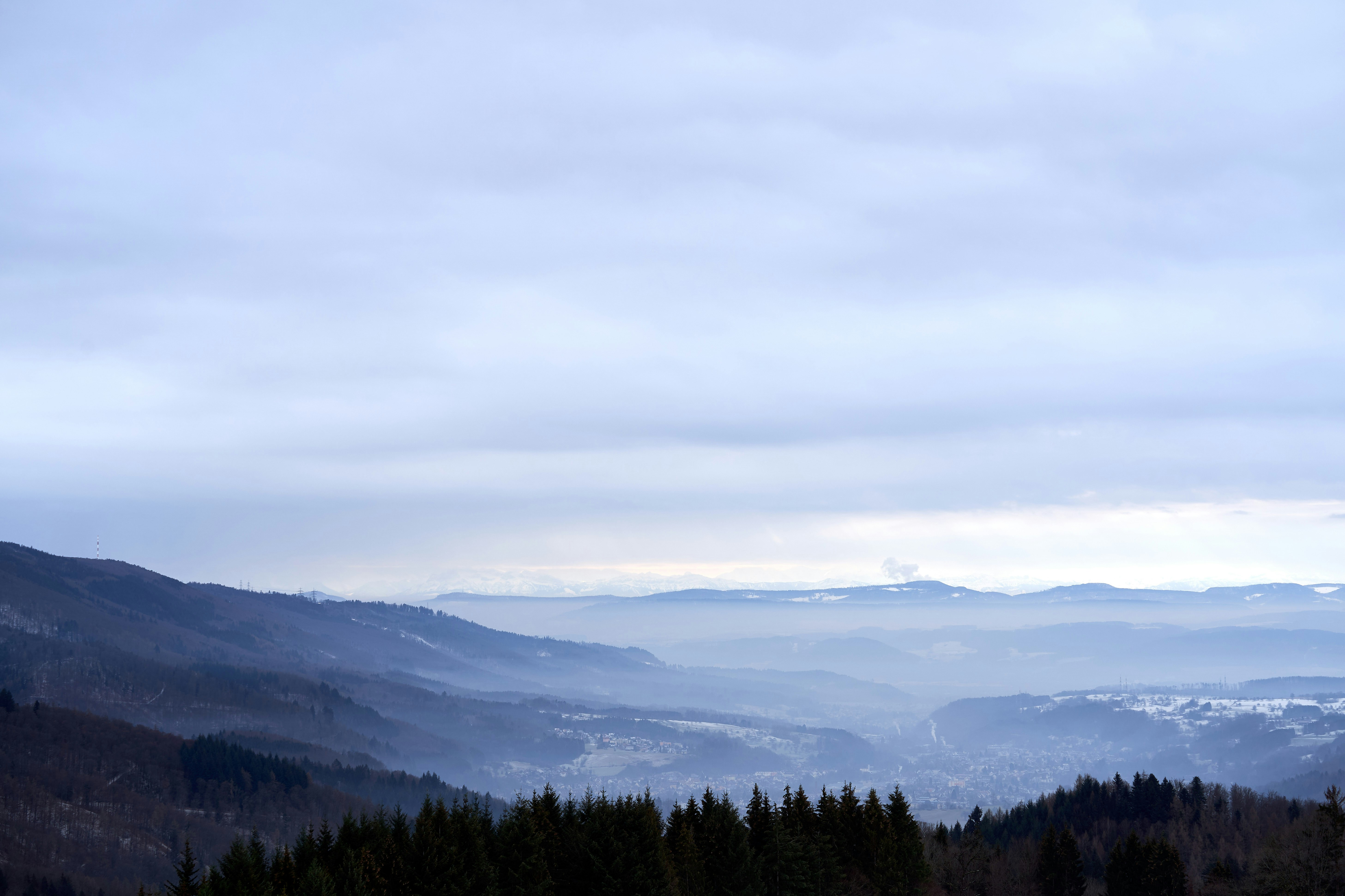 Photo by wolfgang_hasselmann