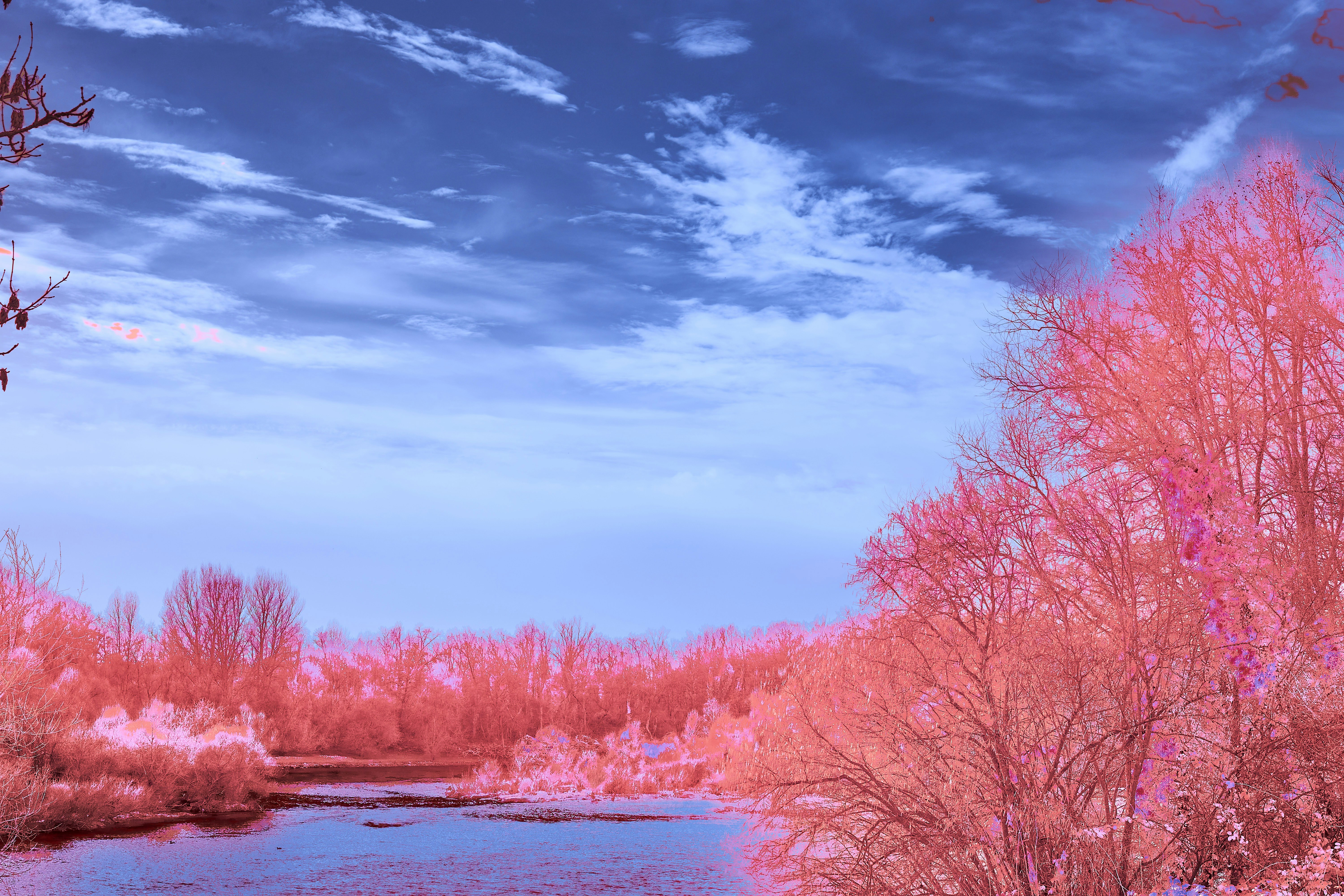 Photo by wolfgang_hasselmann