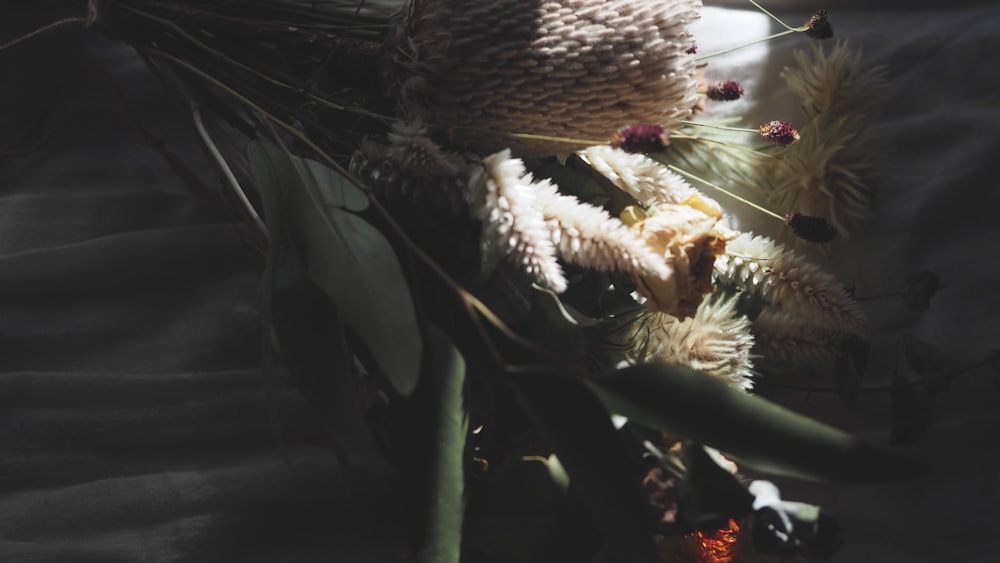 a teddy bear with a knitted hat sitting on top of a plant