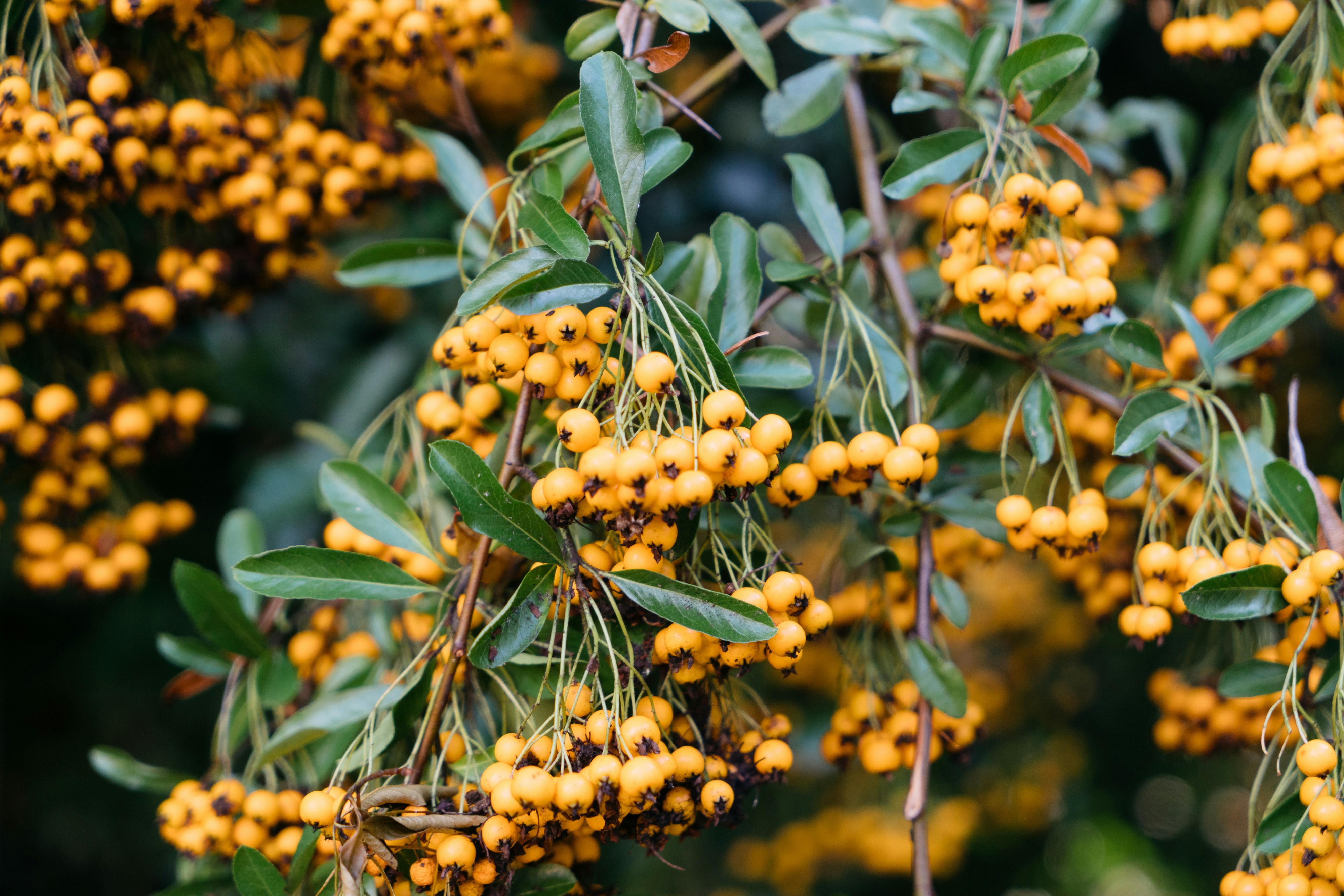 Photo by markuswinkler