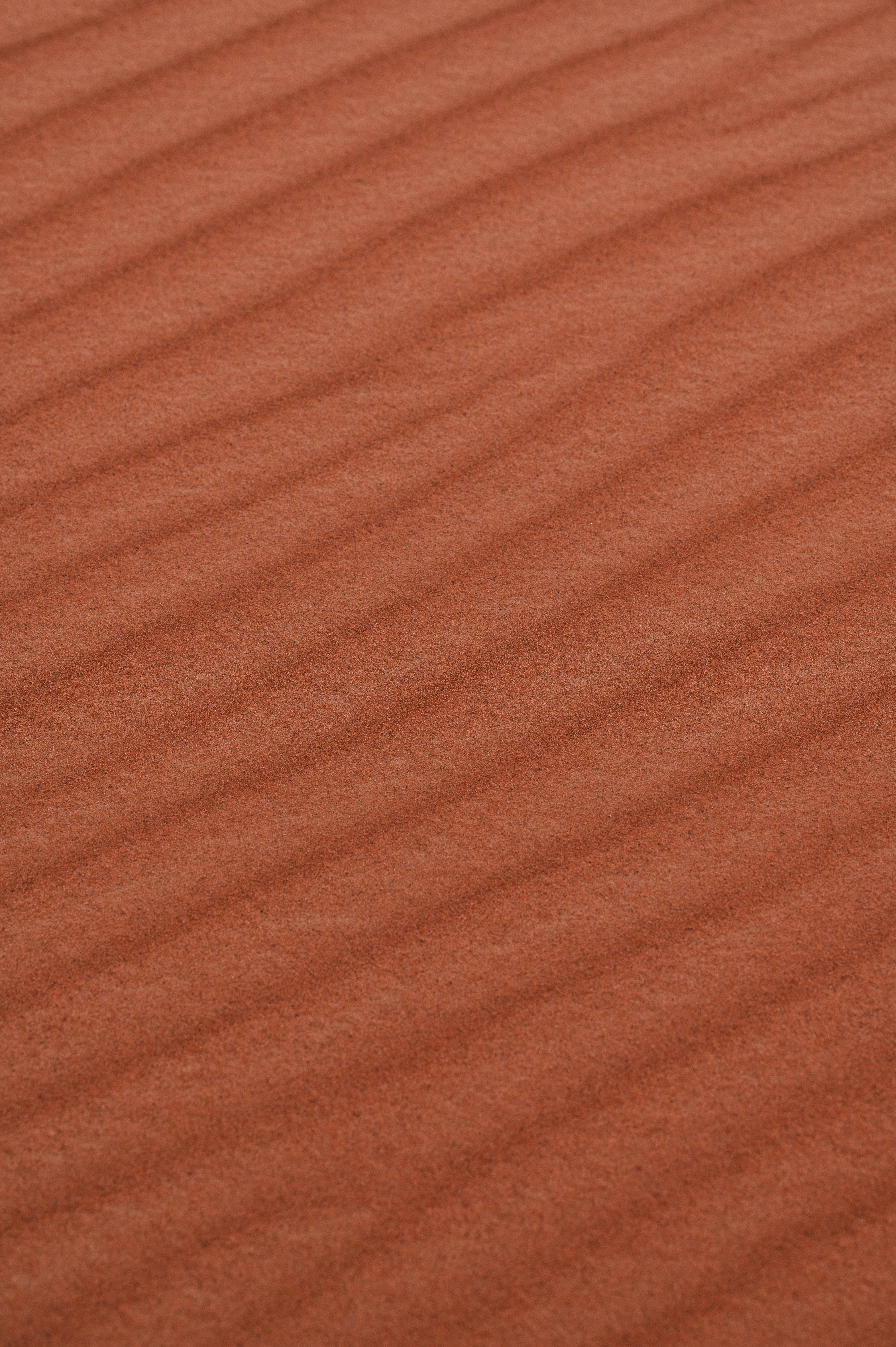 Photo by liviaphotographs