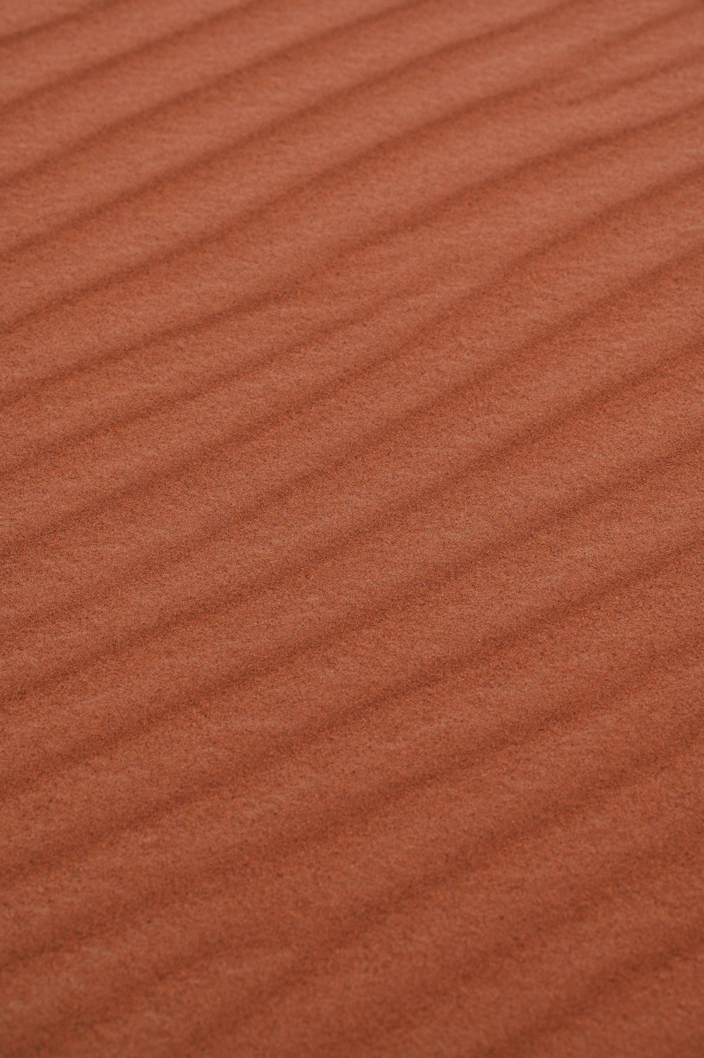 a bird is standing in the sand on a beach