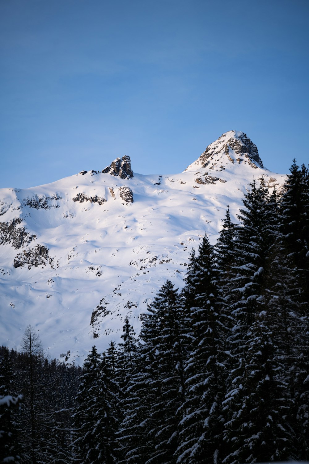 a snow covered mountain with trees in the foreground