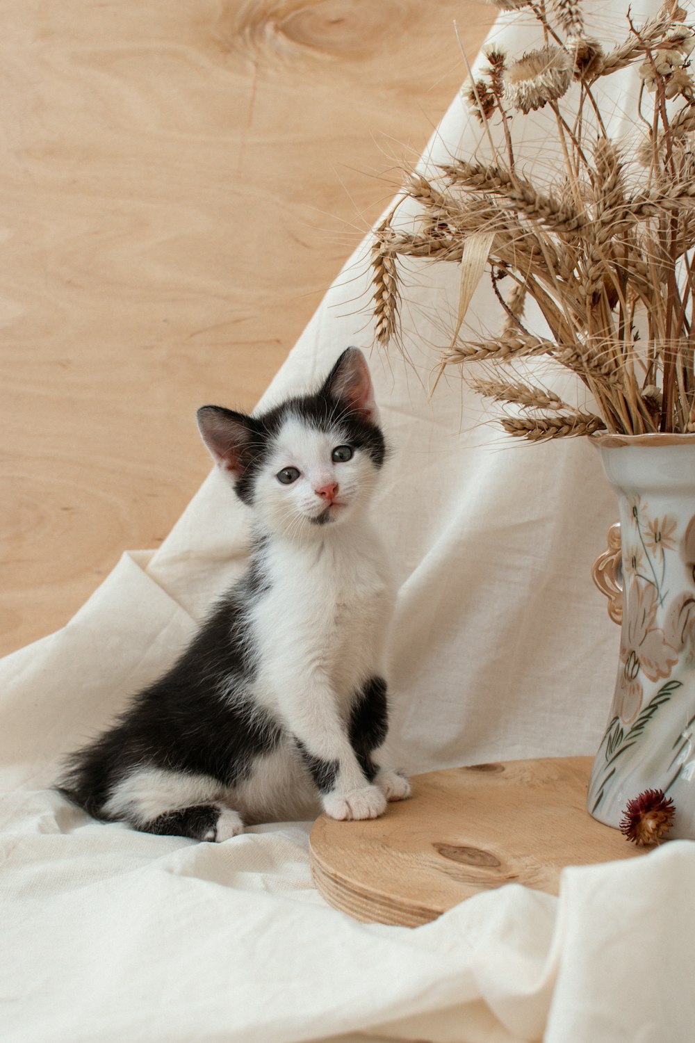 a black and white kitten sitting next to a vase
